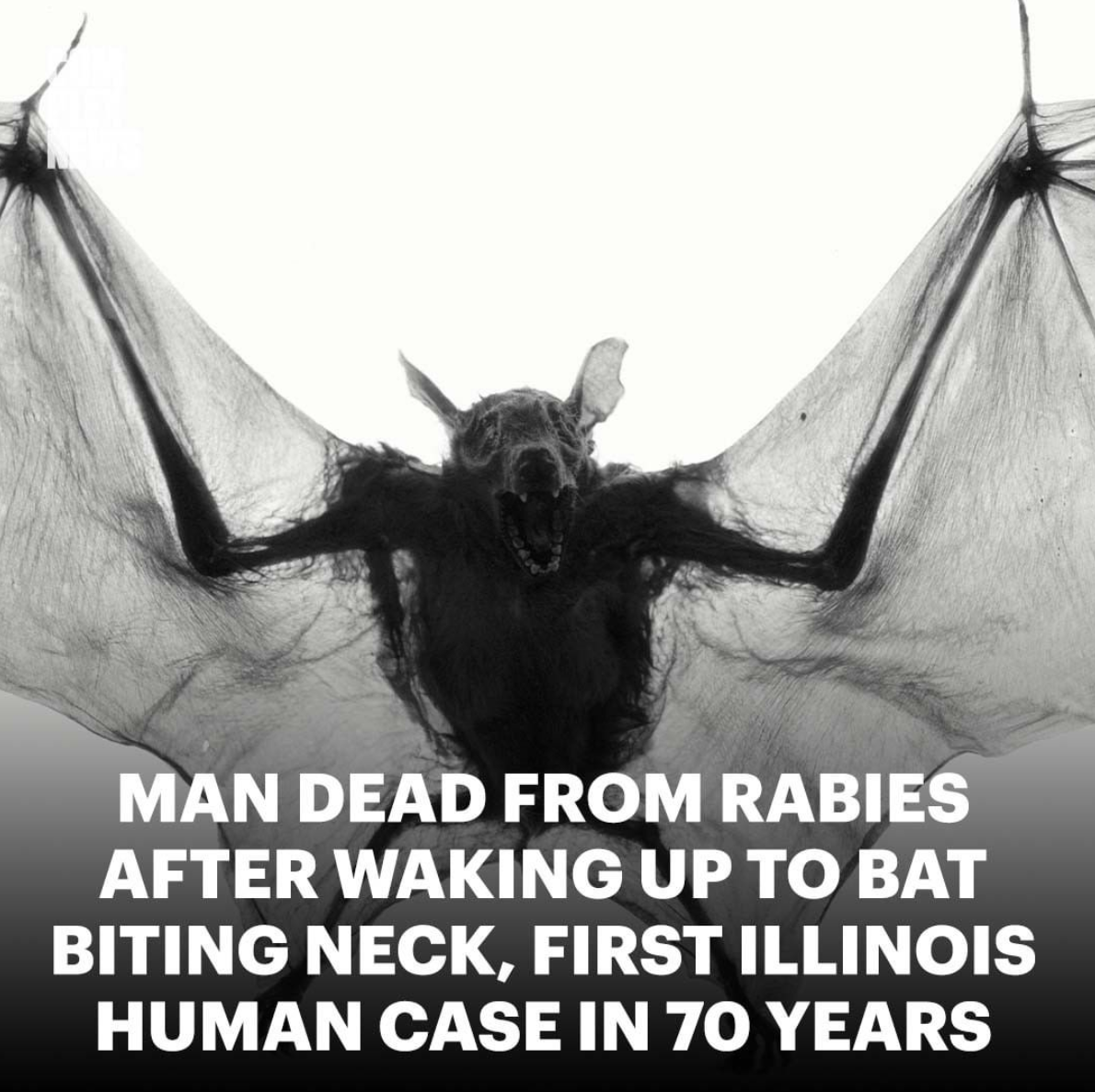 Screen Shot 2021-09-30 at 9.49.04 PM.png