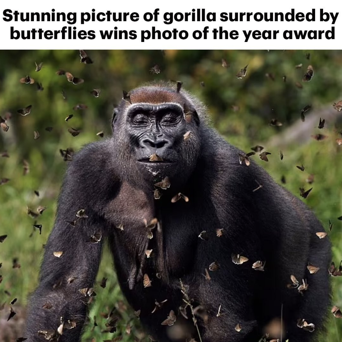 Screen Shot 2021-09-30 at 10.08.45 PM.png