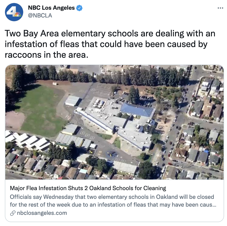 Screen Shot 2021-09-30 at 10.52.15 PM.png