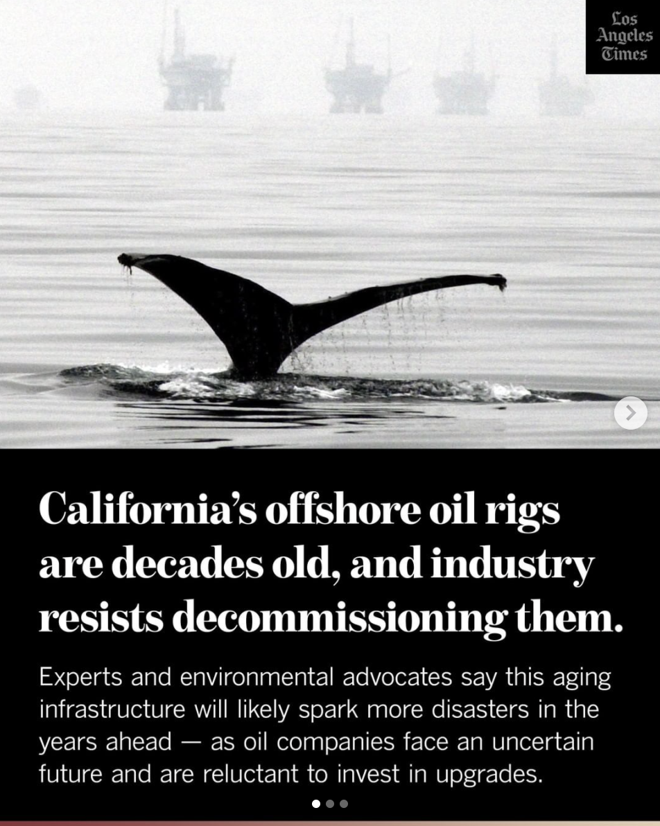 Screen Shot 2021-10-11 at 12.55.37 PM.png