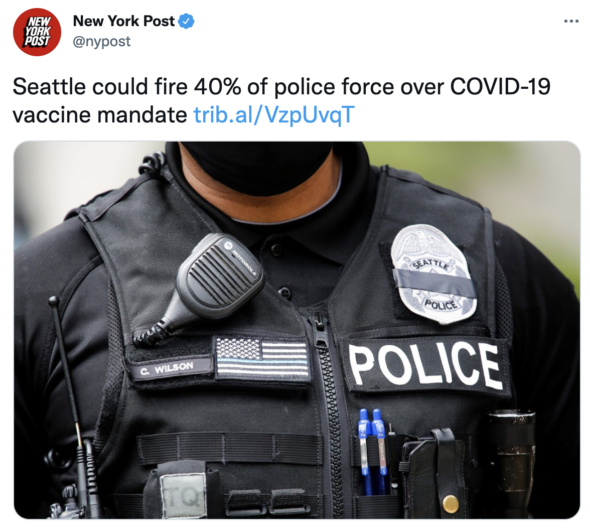 Screen Shot 2021-10-11 at 12.59.53 PM.png