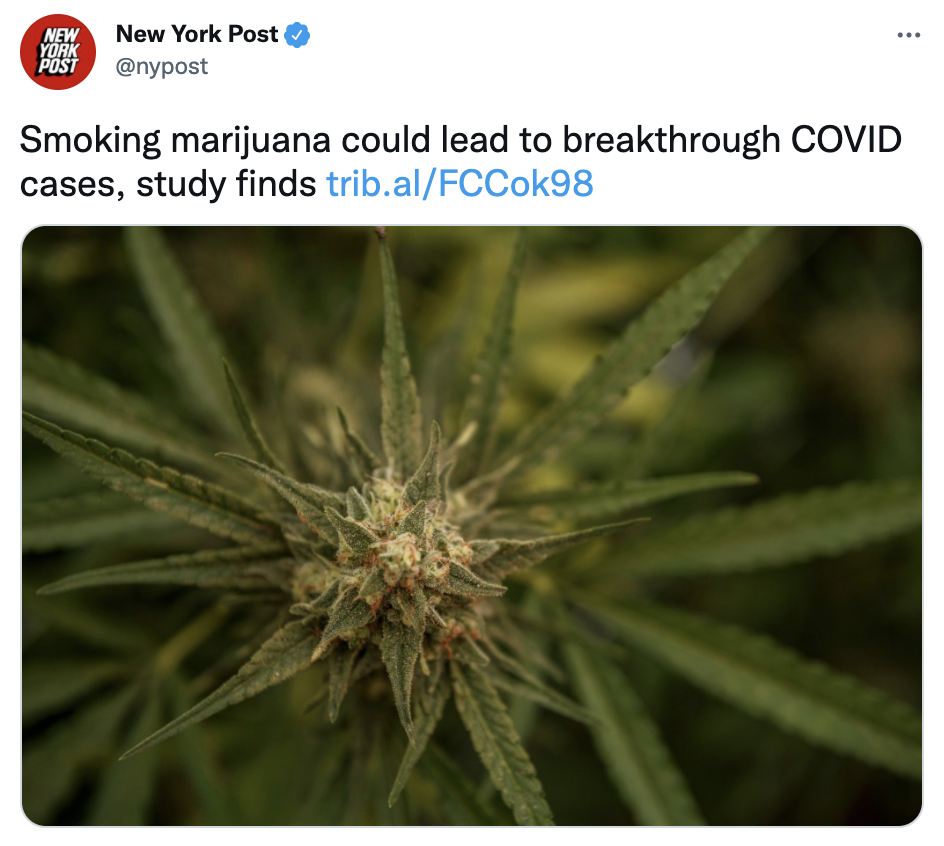 Screen Shot 2021-10-11 at 1.41.24 PM.png