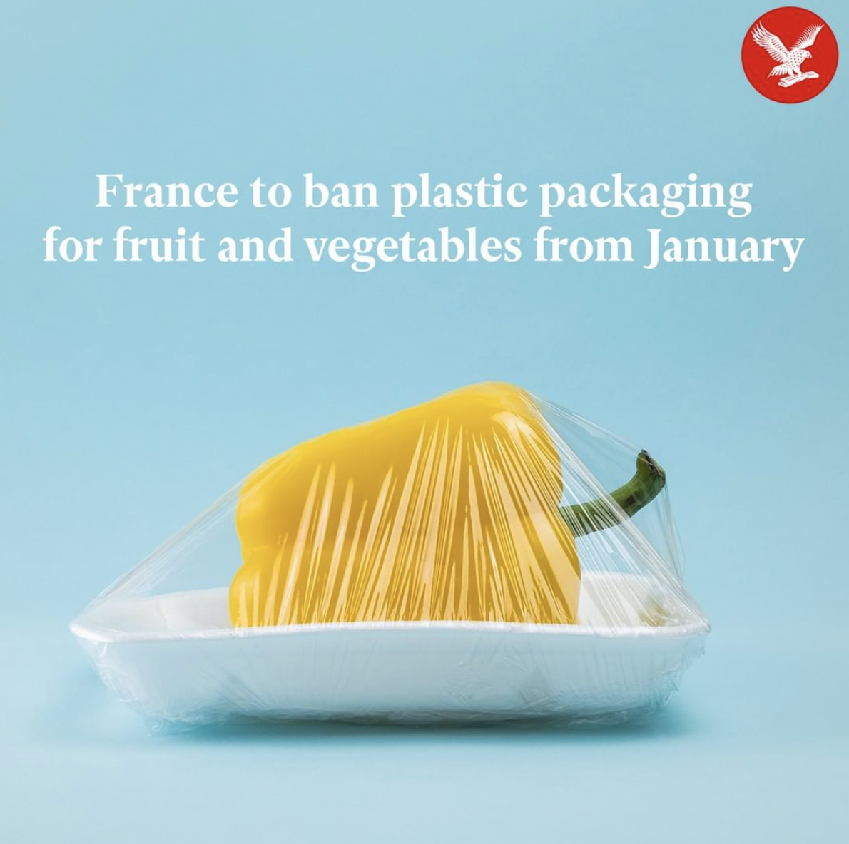 Screen Shot 2021-10-13 at 8.59.05 PM.png