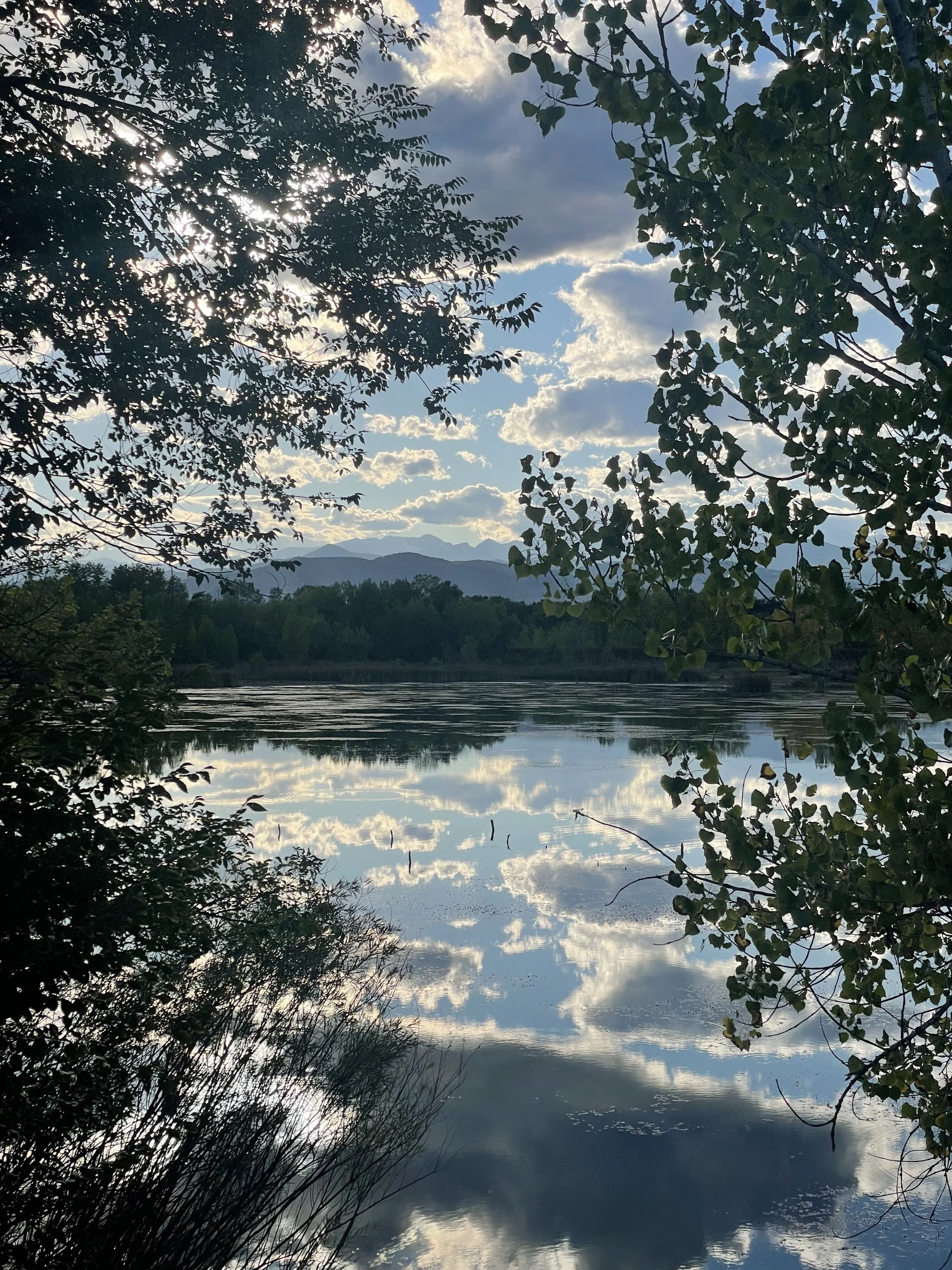 Walden_Pond.jpg