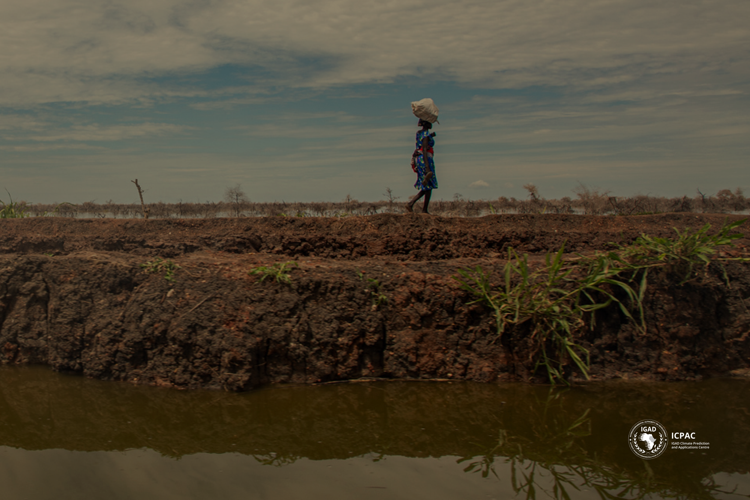 IGAD: Getting Ahead of Disasters