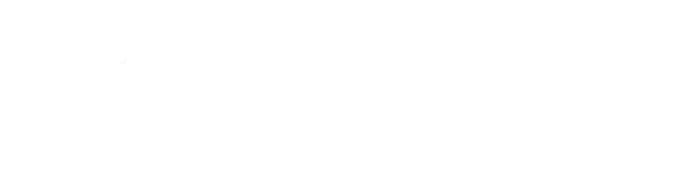 European Union External Action logo with a world map and stars.