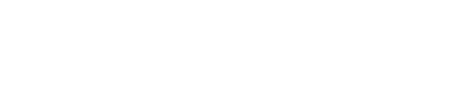 Logo of United Nations Peacekeeping featuring a dove with an olive branch and the UN emblem.