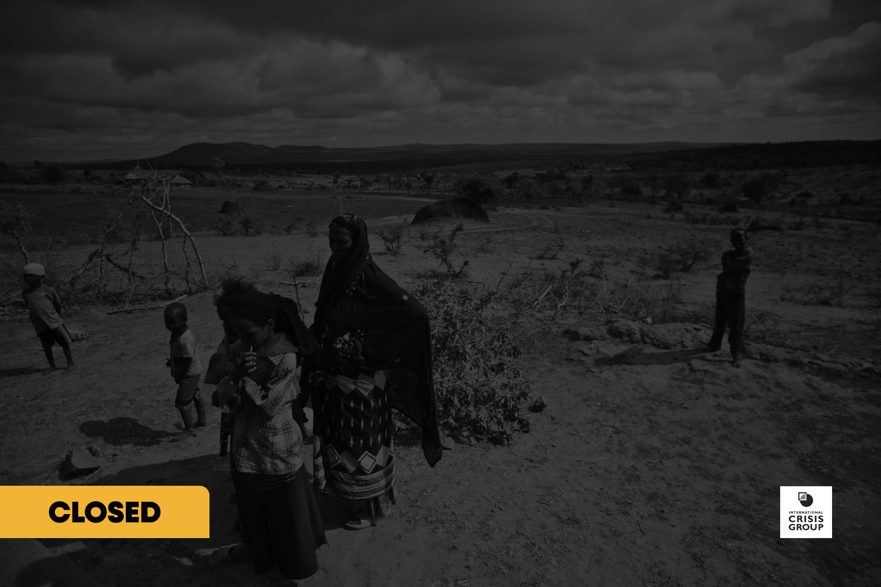 Crisis Group:  The Early Action and Risk Tracking Hub