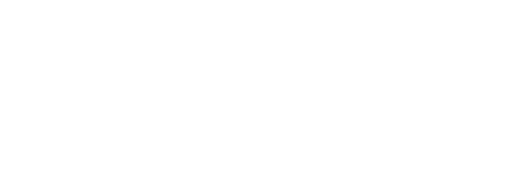 United Nations Human Rights logo with a flame and olive branch graphic