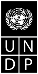 UNDP logo featuring the United Nations emblem above the acronym UNDP.