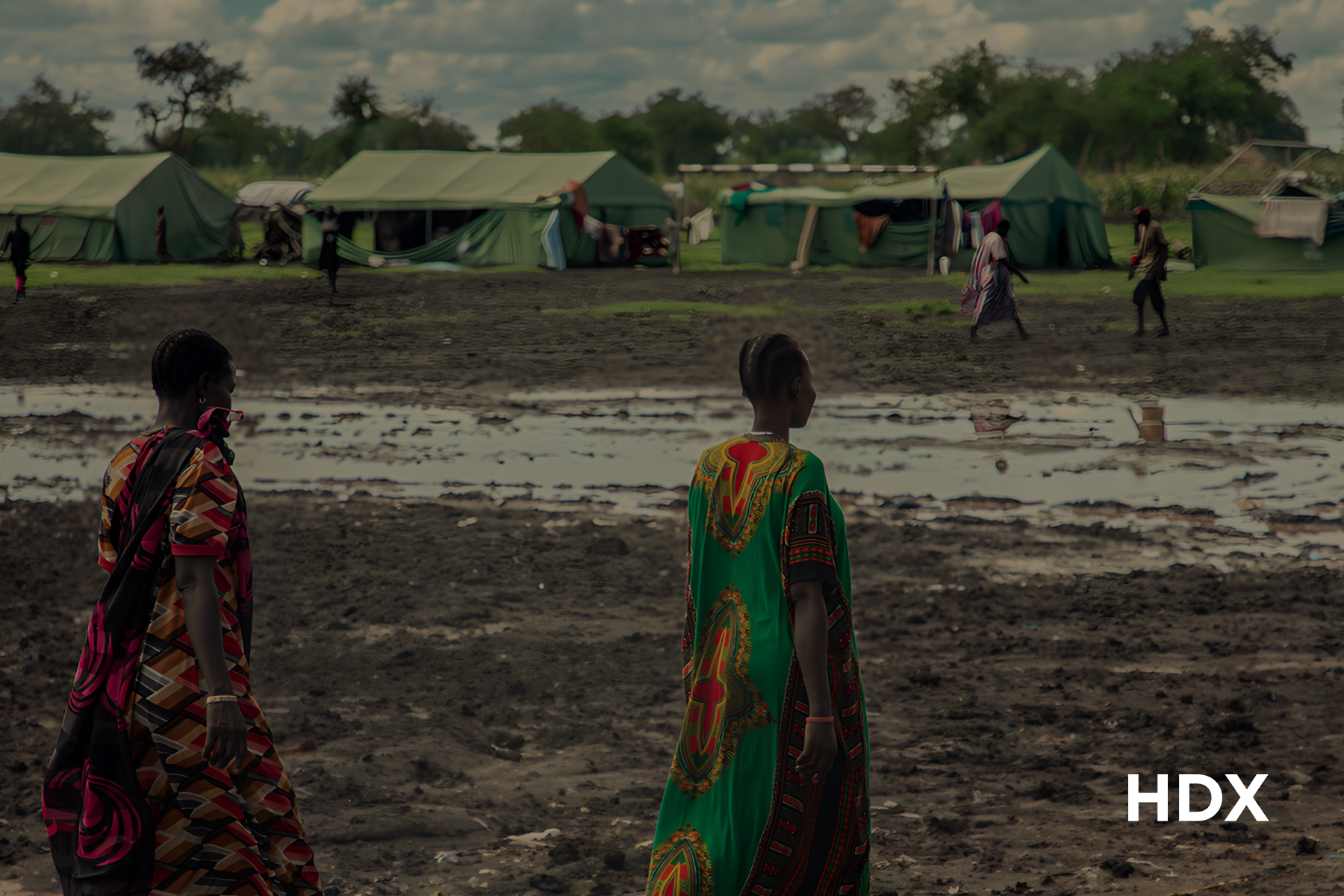 HDX: Using Data for Early Action