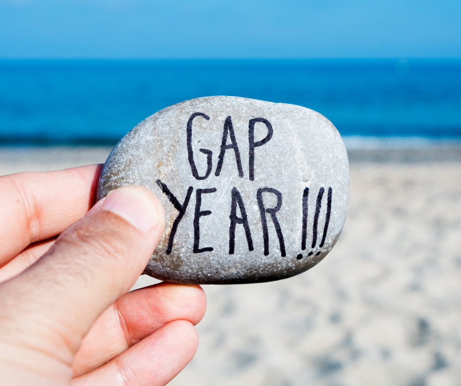 person holding a rock that says "gap year"