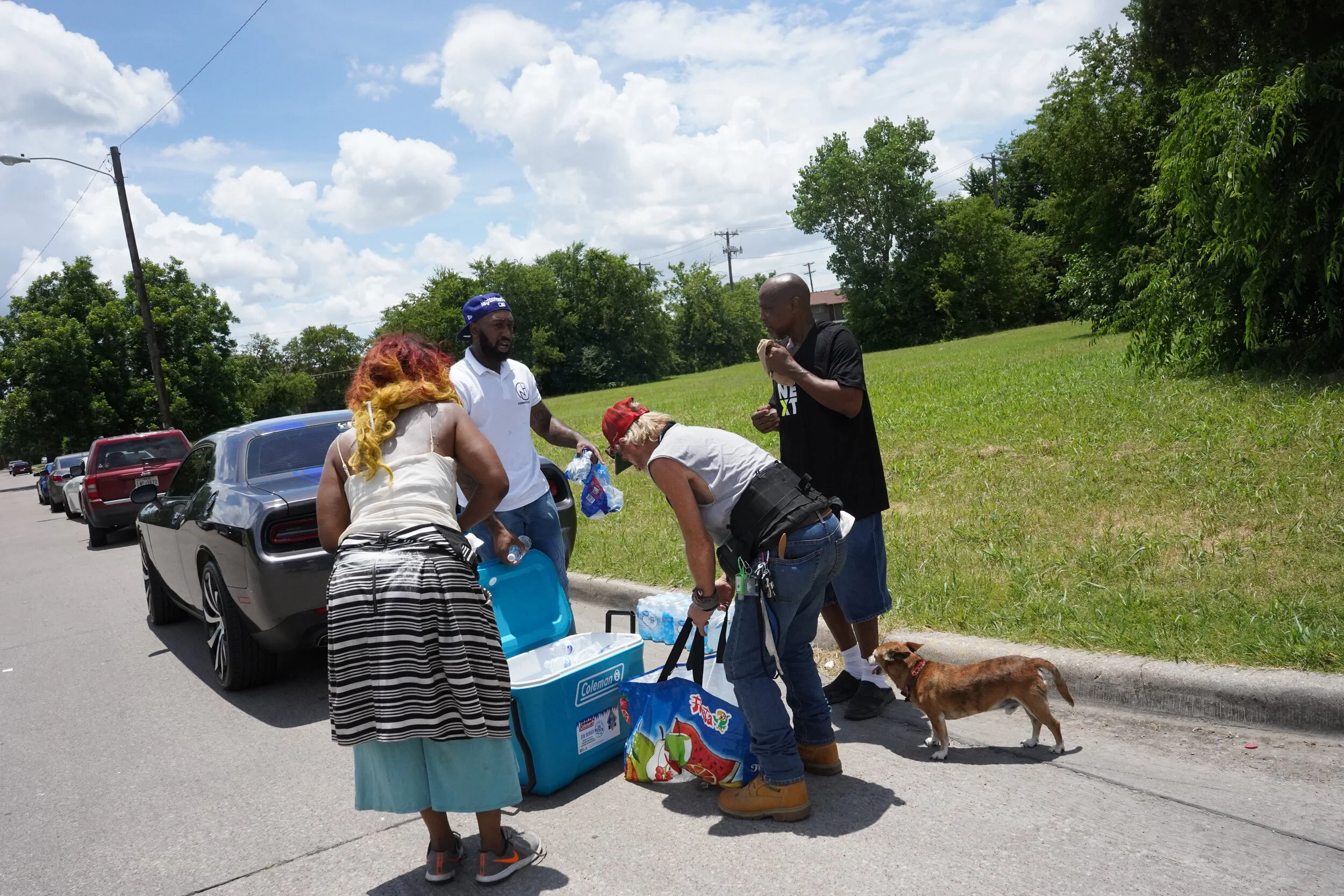 Group of five people and a dog gathered around a cooler on the sidewalk next to a row of parked cars, with a grassy area and trees in the background.