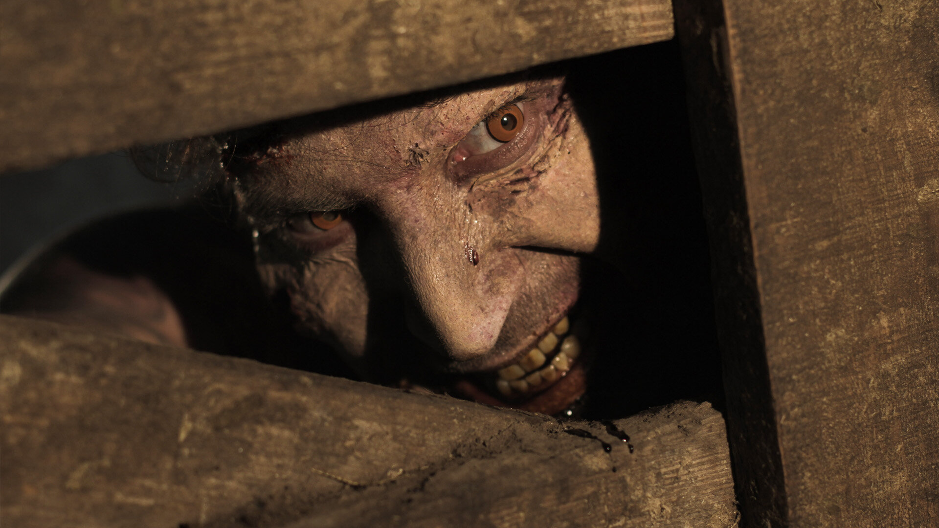 Zomibe Fence.jpg