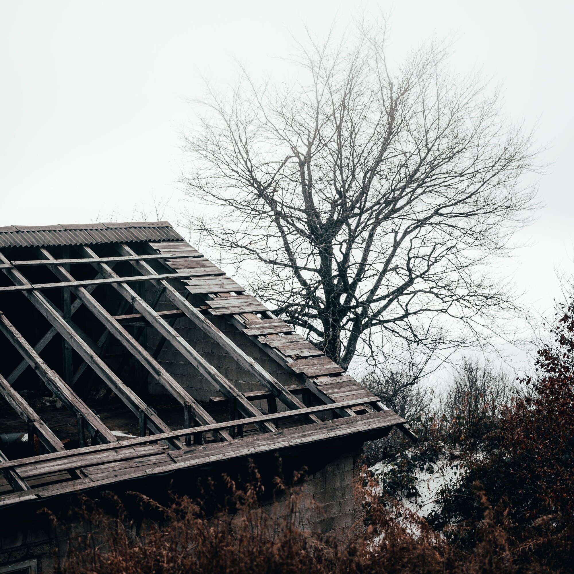 unsplash-image-plP327n3tMs.jpg