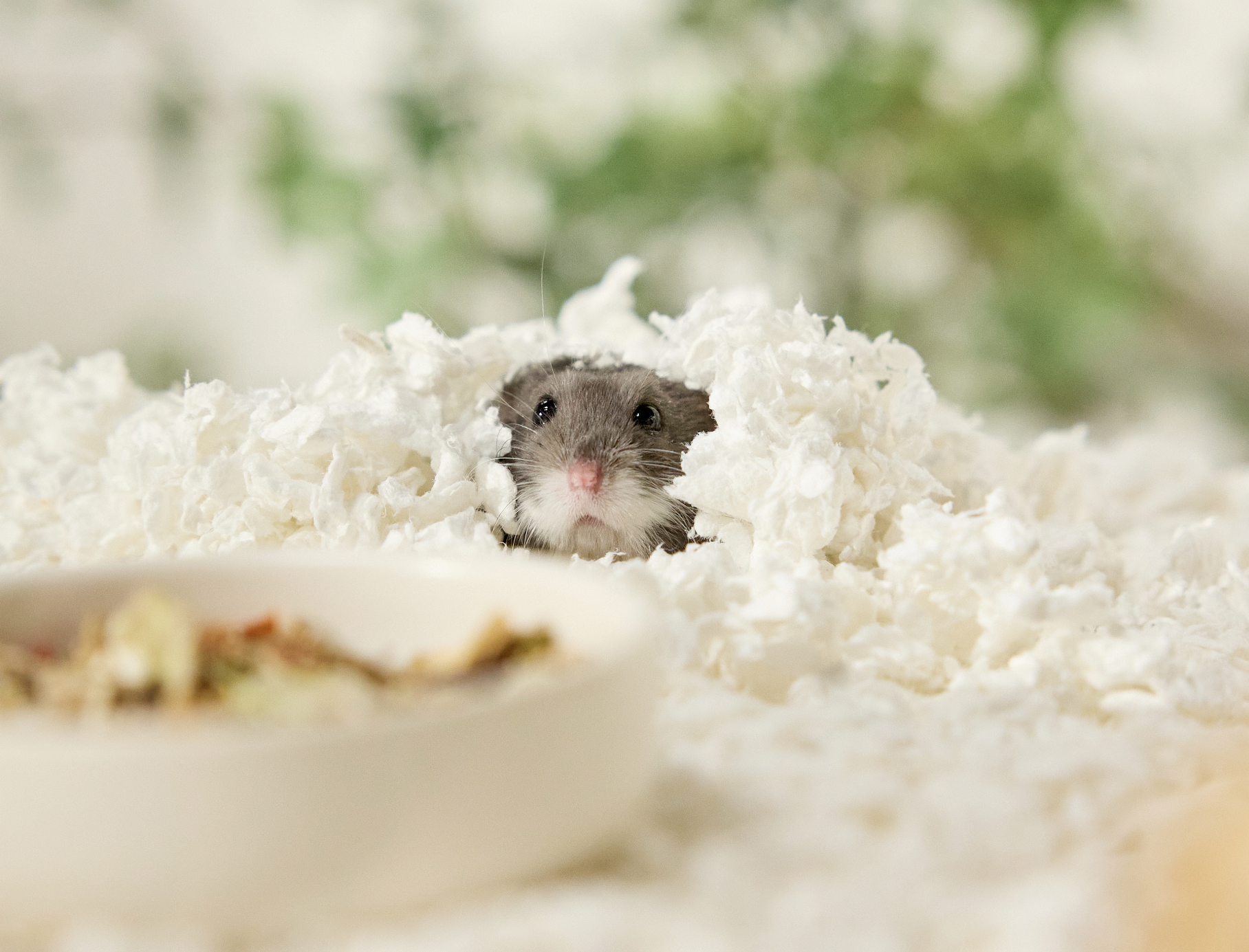 Screenshot 2026-03-19 at 10.53.03 PM.png