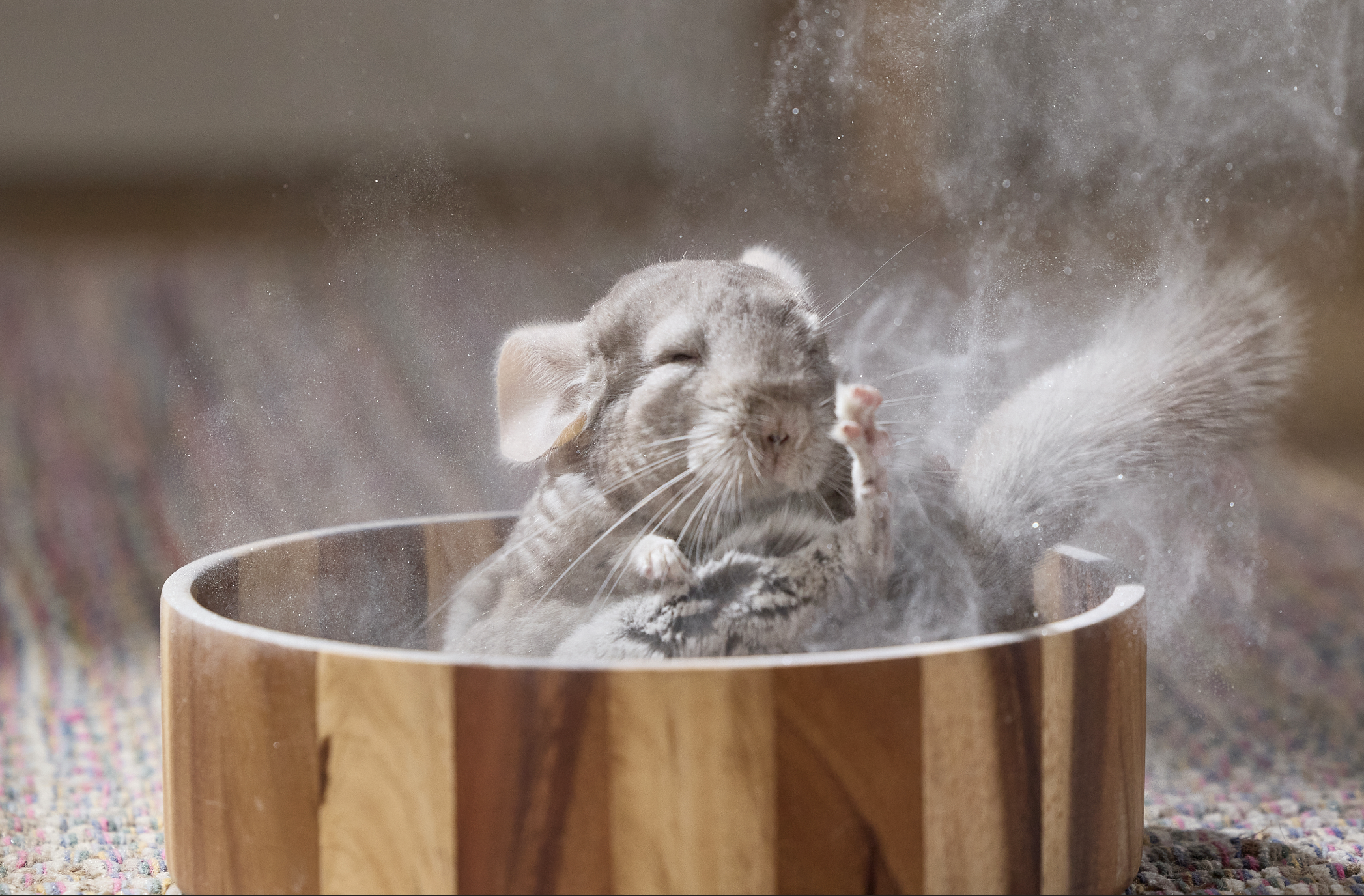 Screenshot 2026-03-19 at 11.04.00 PM.png