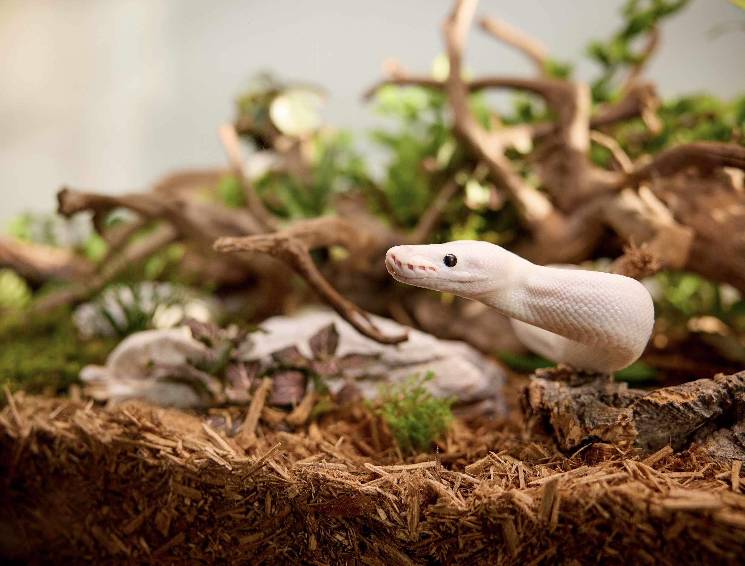 Screenshot 2026-03-19 at 10.58.24 PM.png