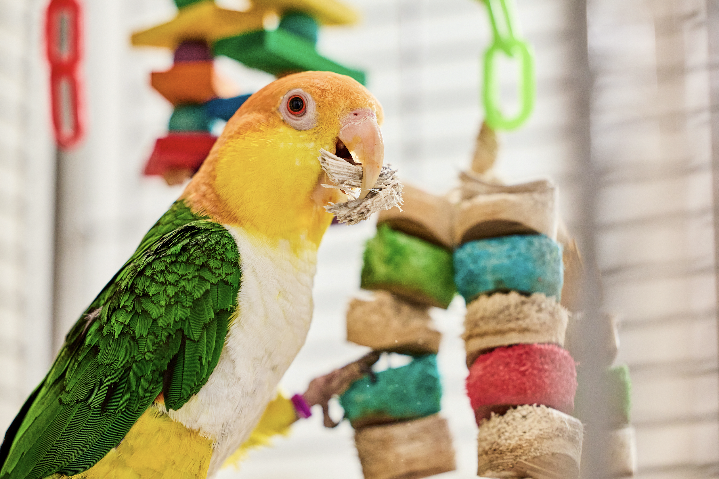 Screenshot 2026-03-19 at 11.04.10 PM.png