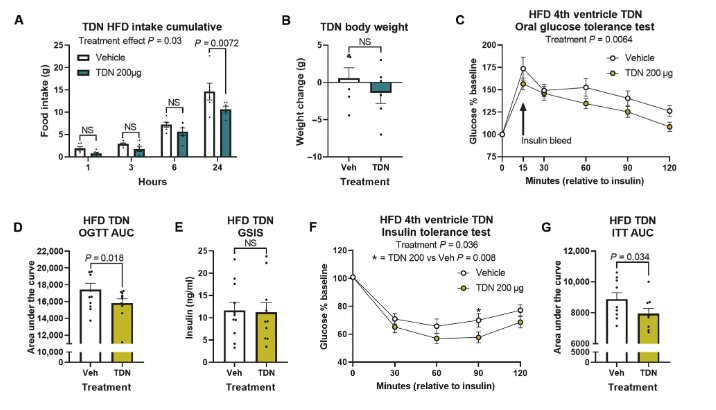 Hindbrain octadecaneuropeptide gliotransmission as a therapeutic target for energy balance control without nausea or emesis