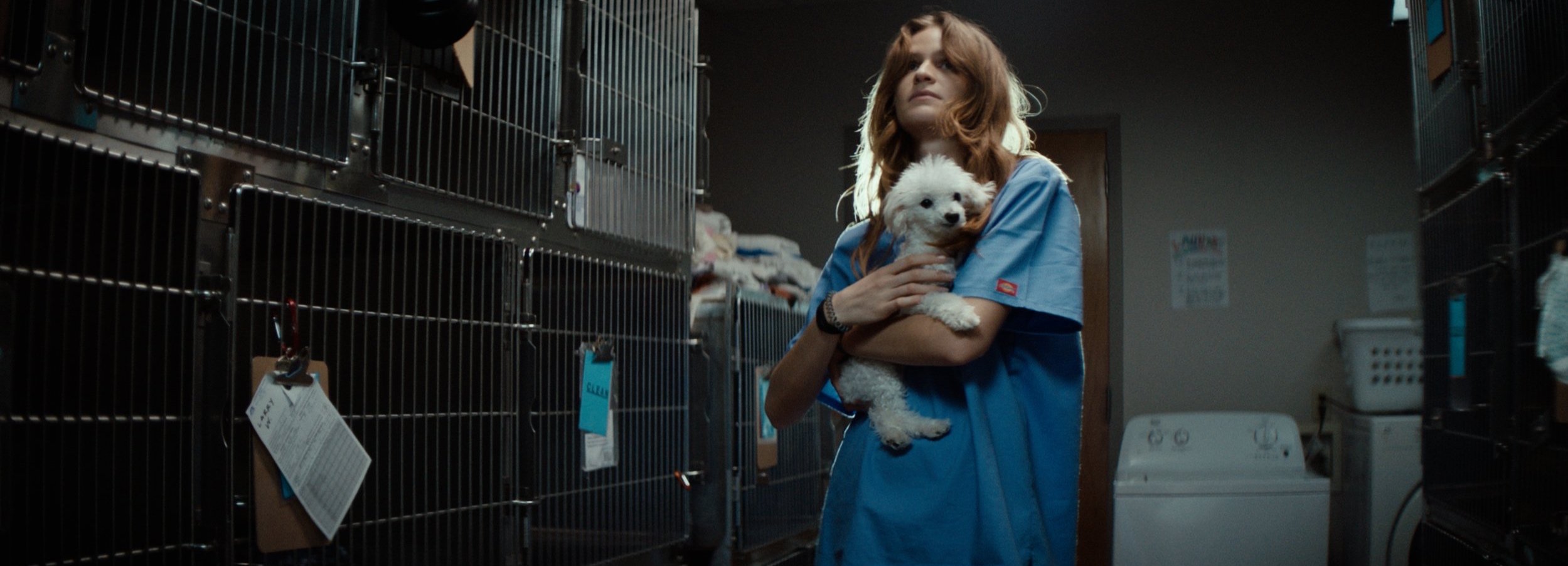 RUBY+STILLS+-+Kate+Look+Up+01.jpg