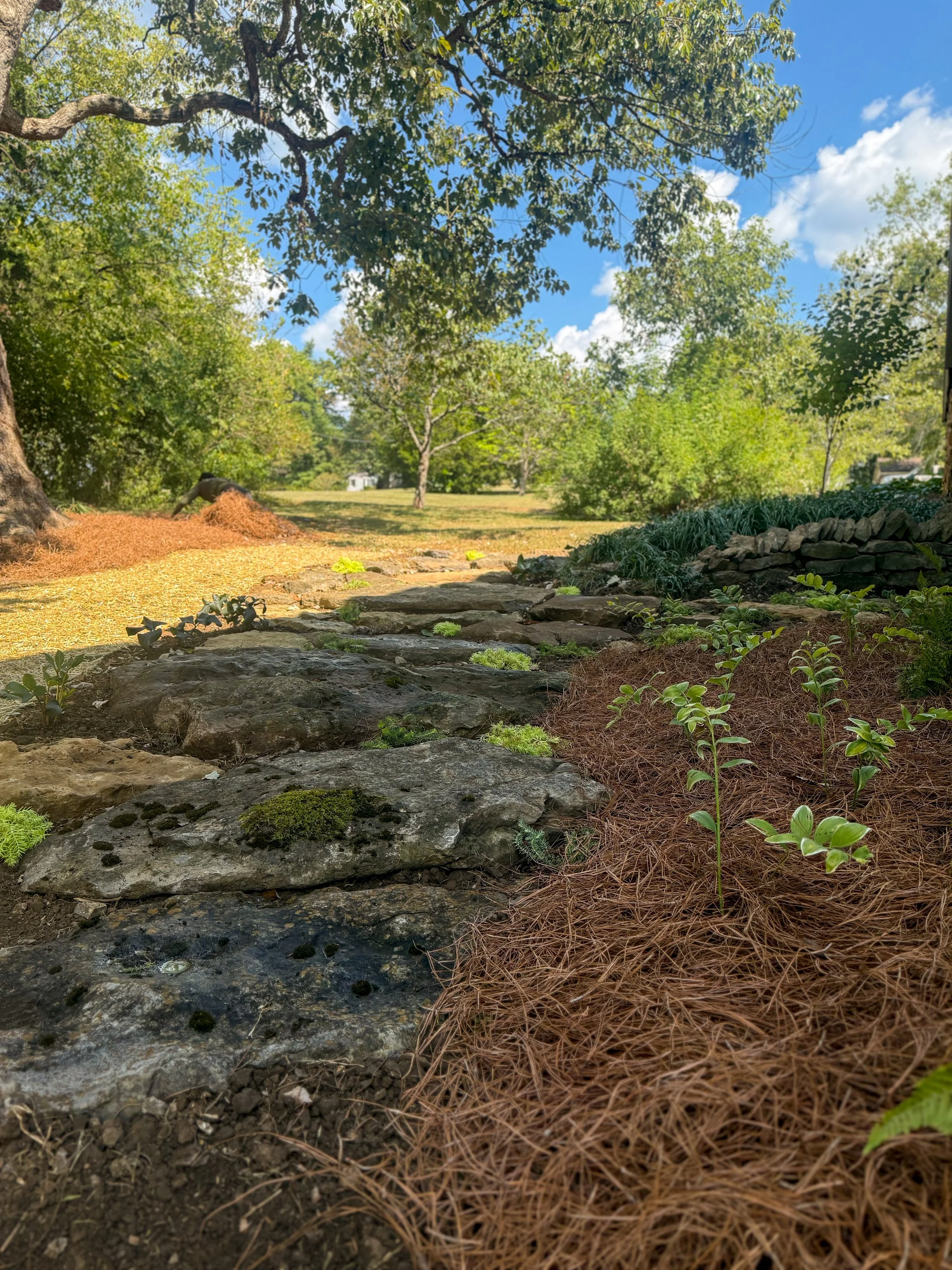 landscaping company Belle Meade Tennessee Stone pathway