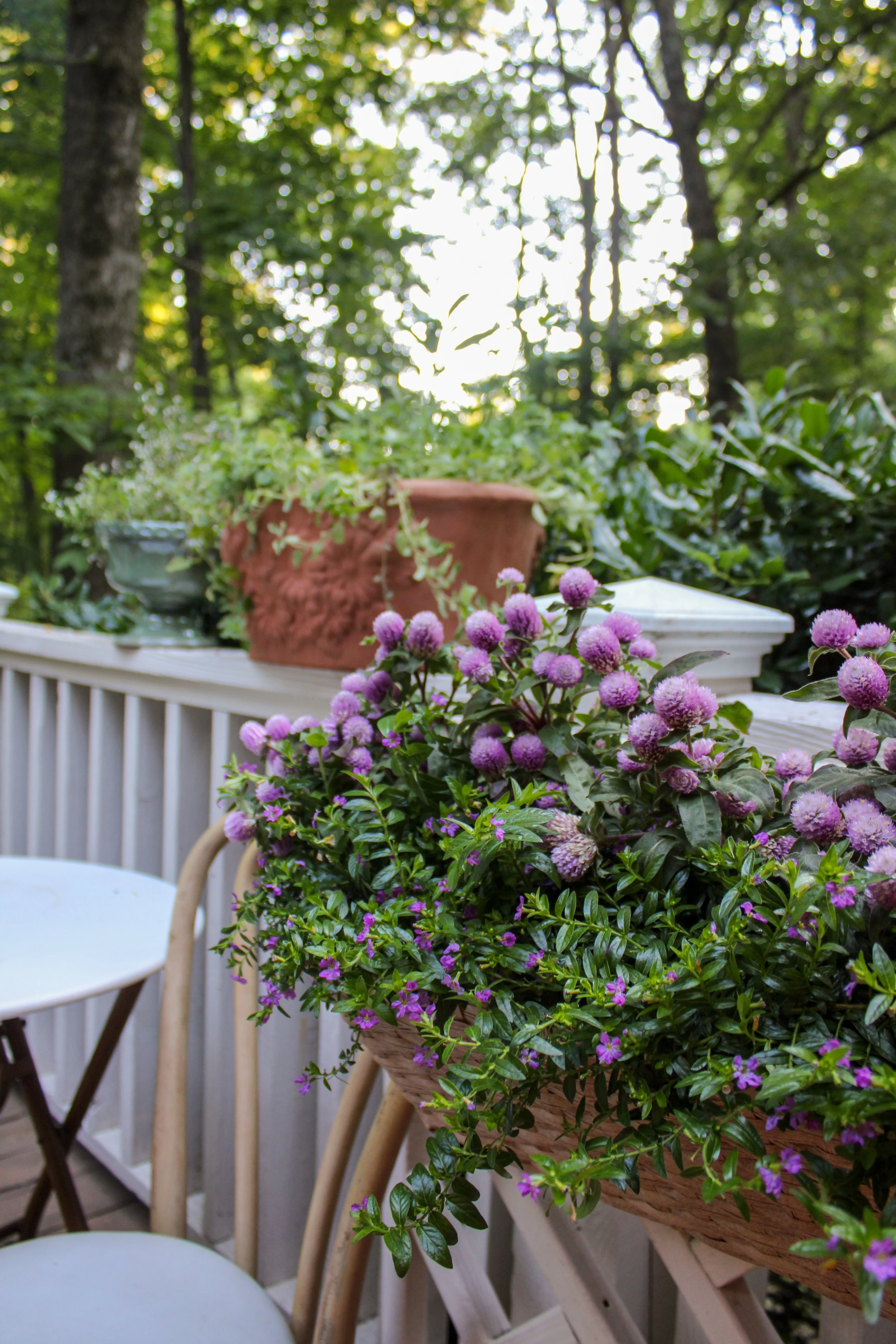 brentwood landscaping