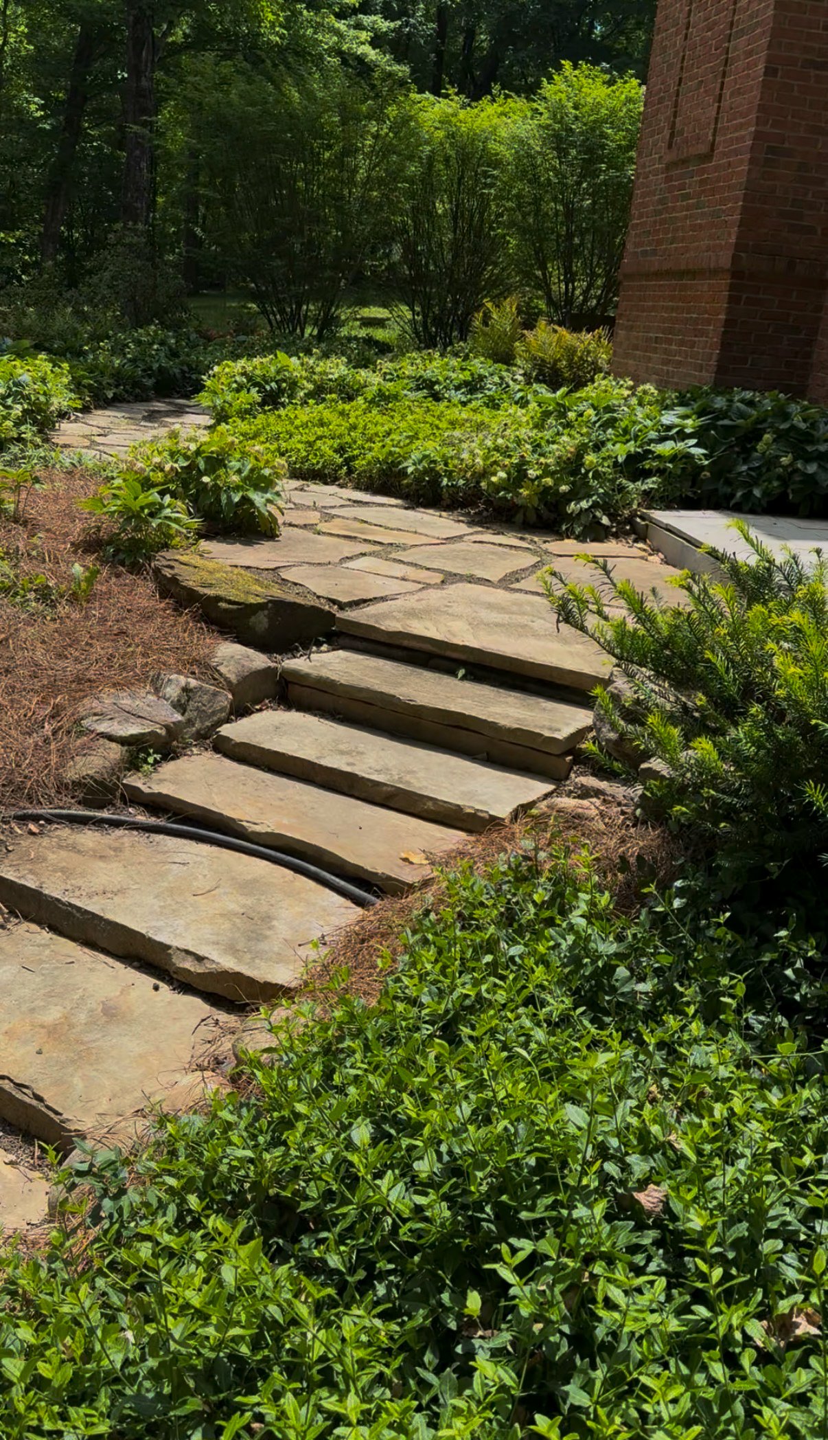 landscaping company Franklin Tennessee Stone pathway