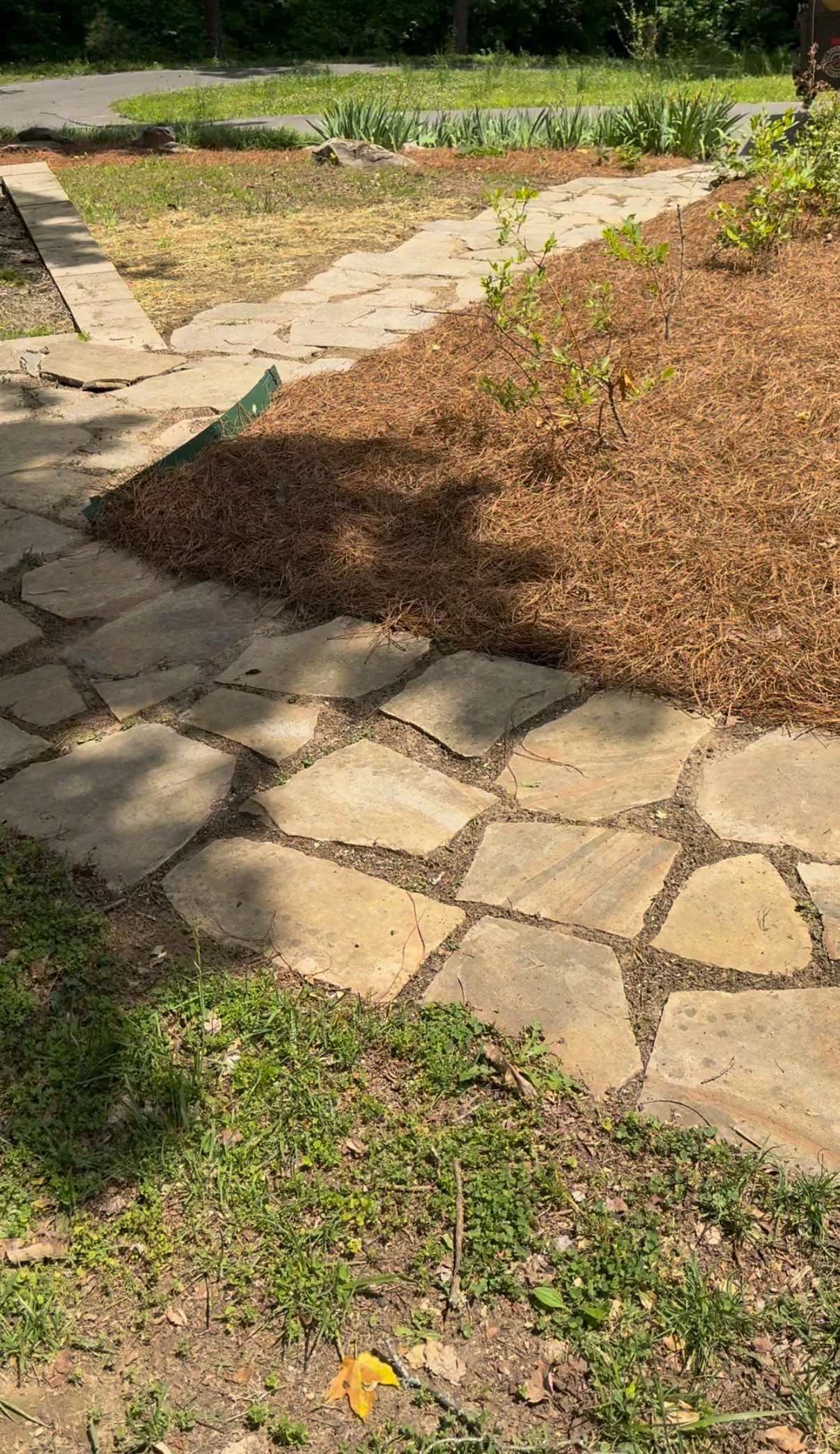 landscaping company Franklin Tennessee Stone pathway
