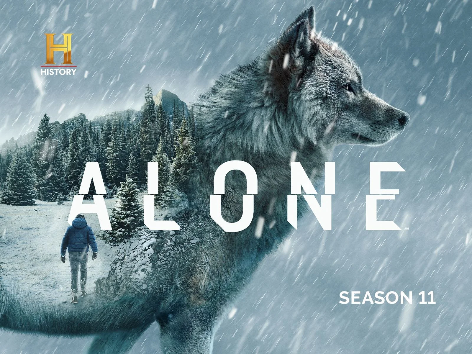 Alone- Head Chef
