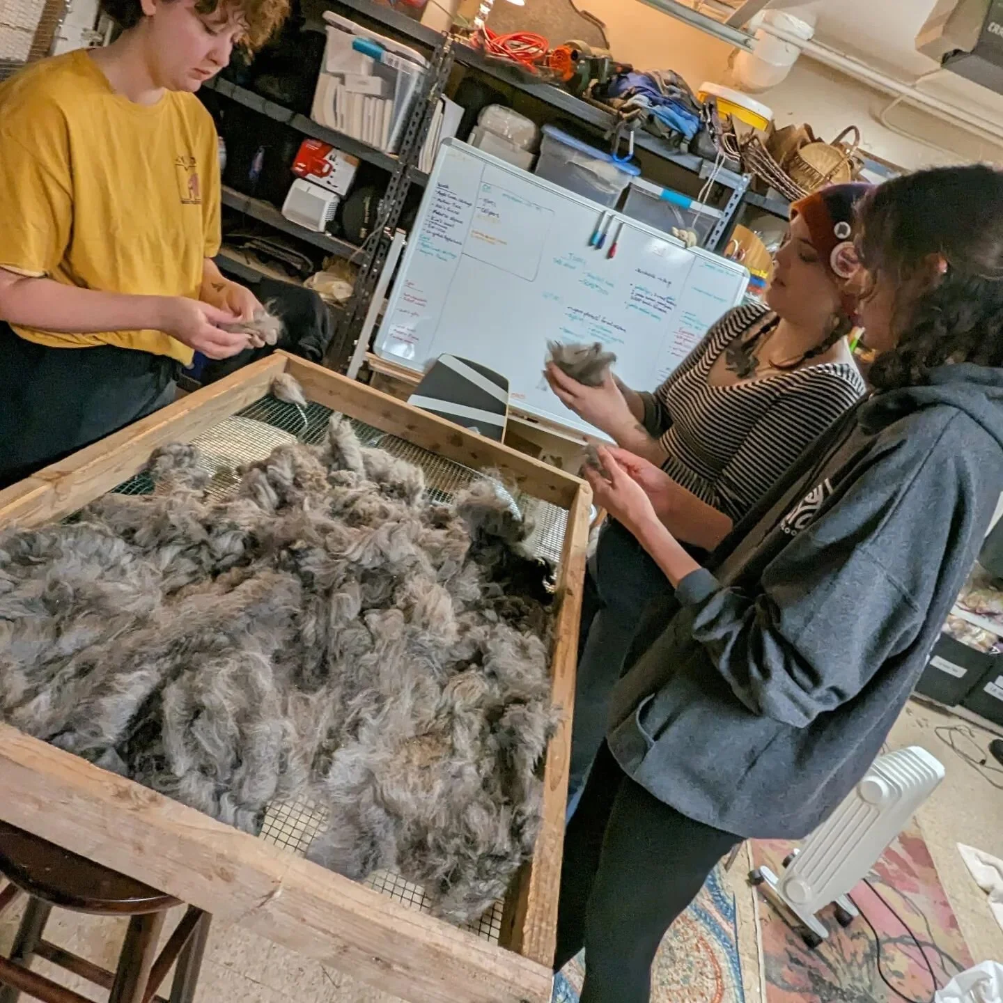 Skirtng! 🤓 This fleece's first round of gettin most of the neps and big dirt out.