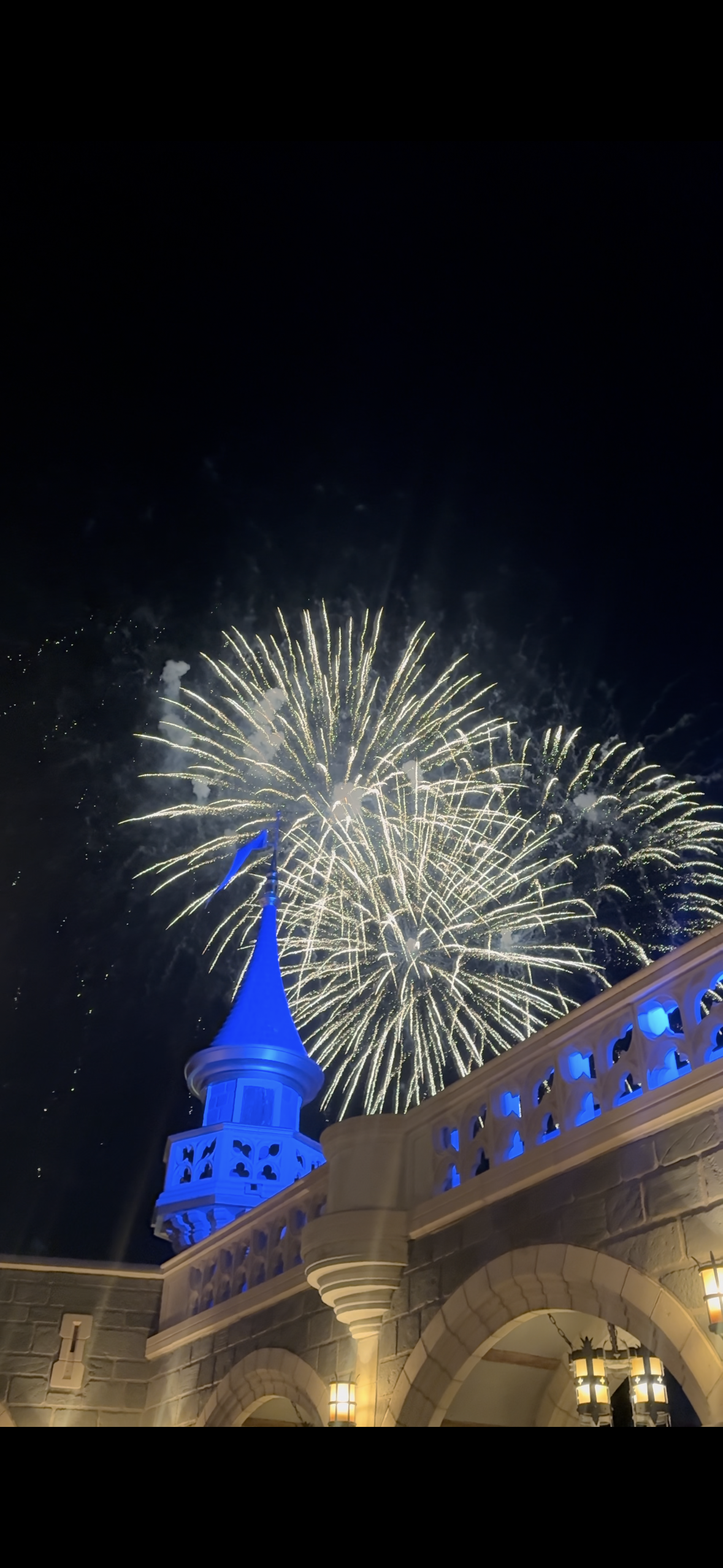 IMG_4803 (1).PNG