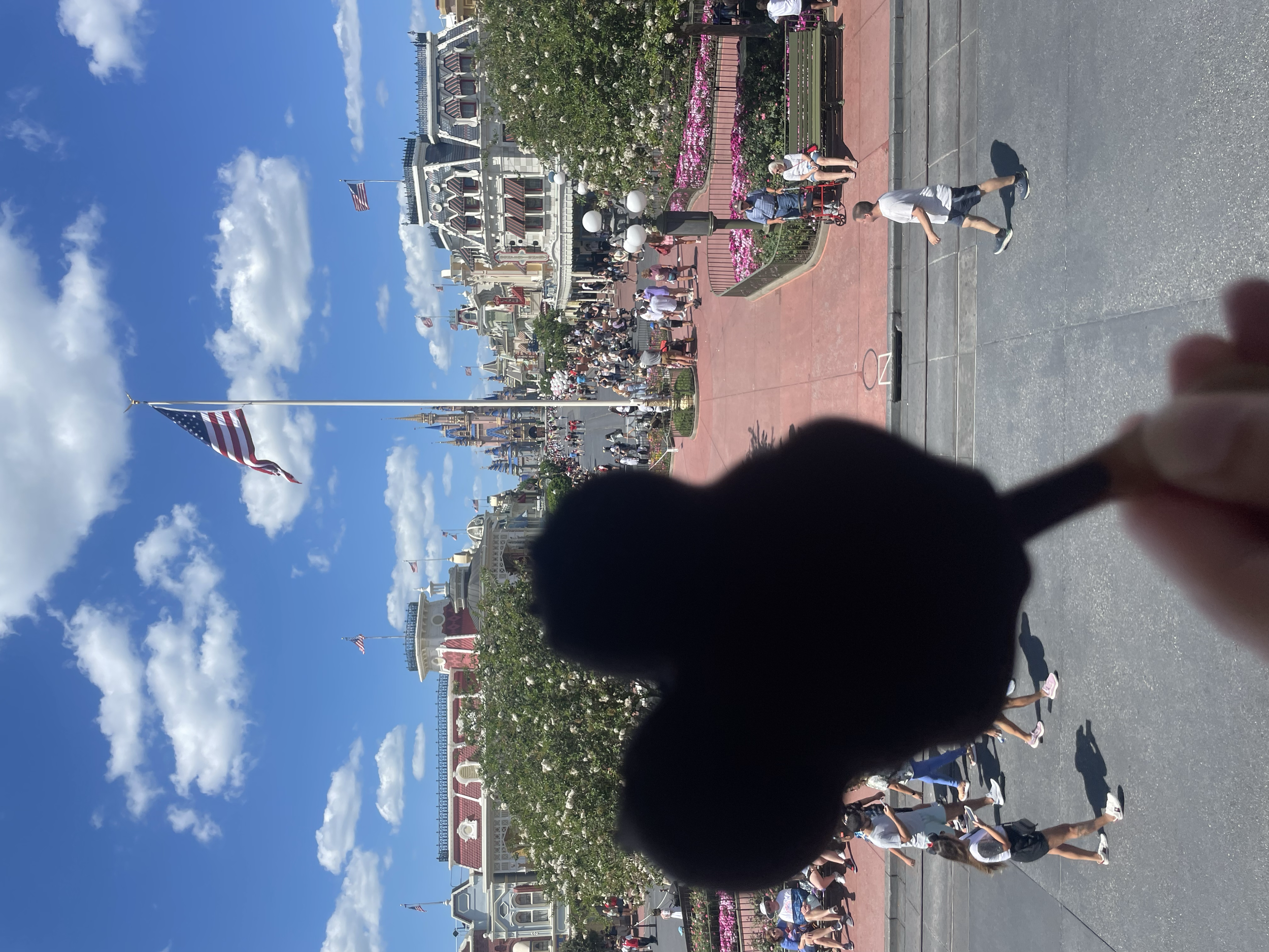 Mickey Premium Ice Cream Bar from my VIP Tour Guide at The Magic Kingdom.