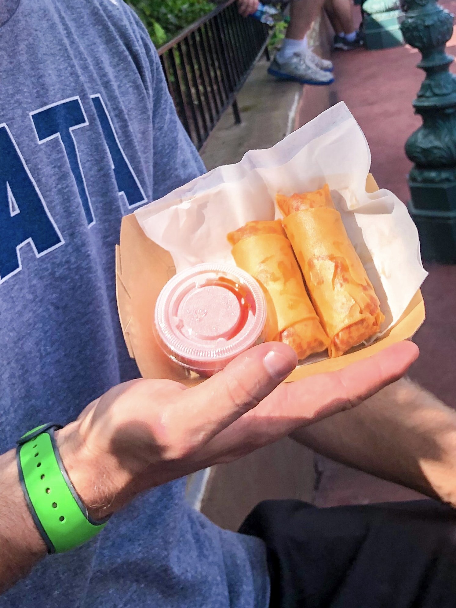 Cheeseburger Spring Rolls from The Spring Roll Cart at Magic Kingdom