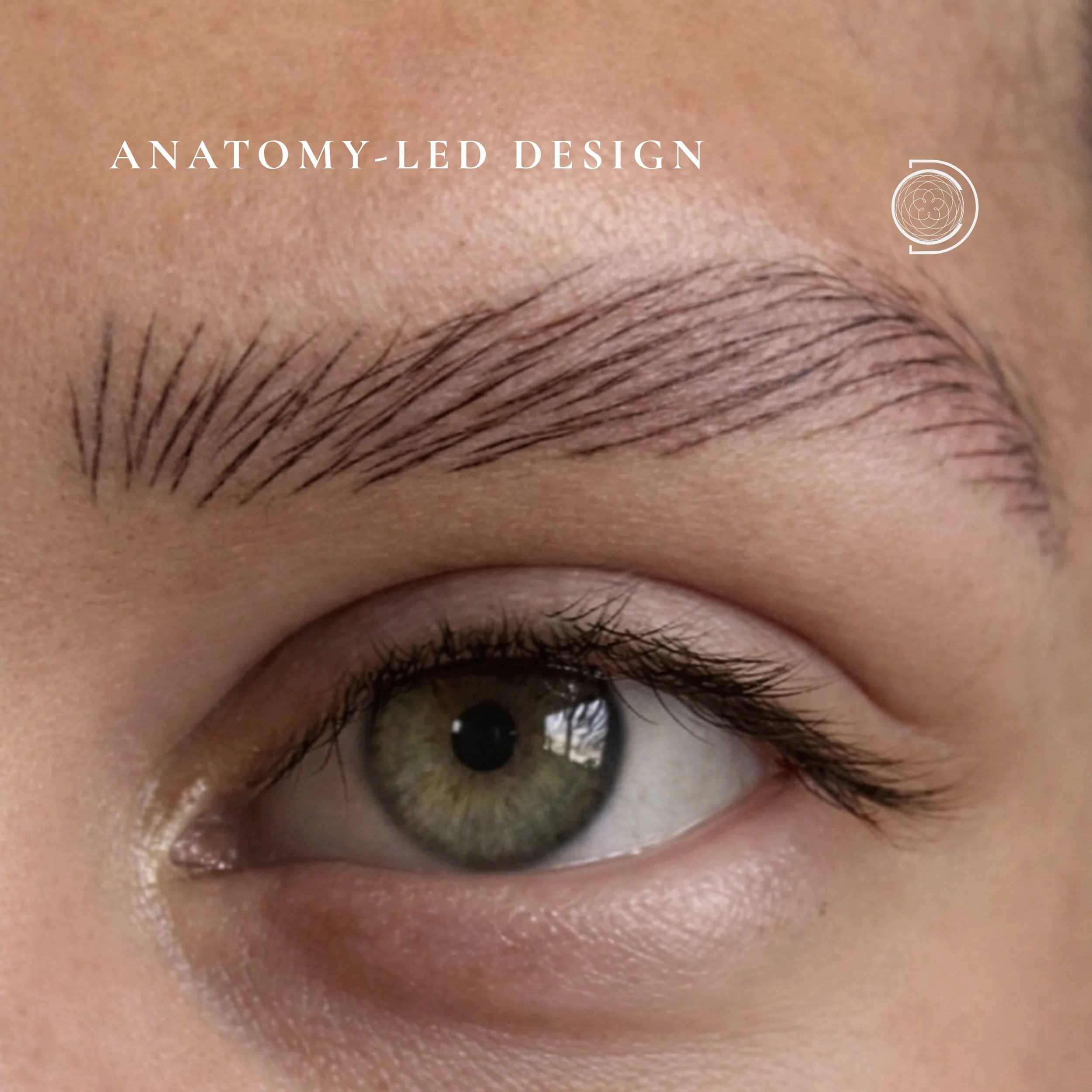 David Chum DCPC close-up alopecia brow nano brow tattoo