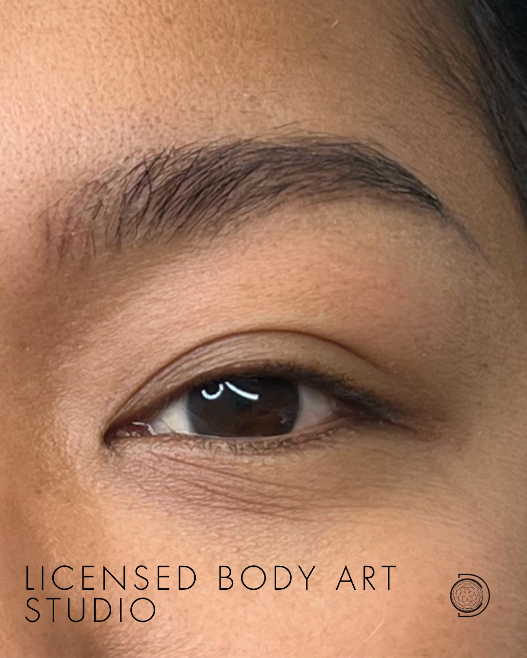 dcpc close-up asian nano brows.png