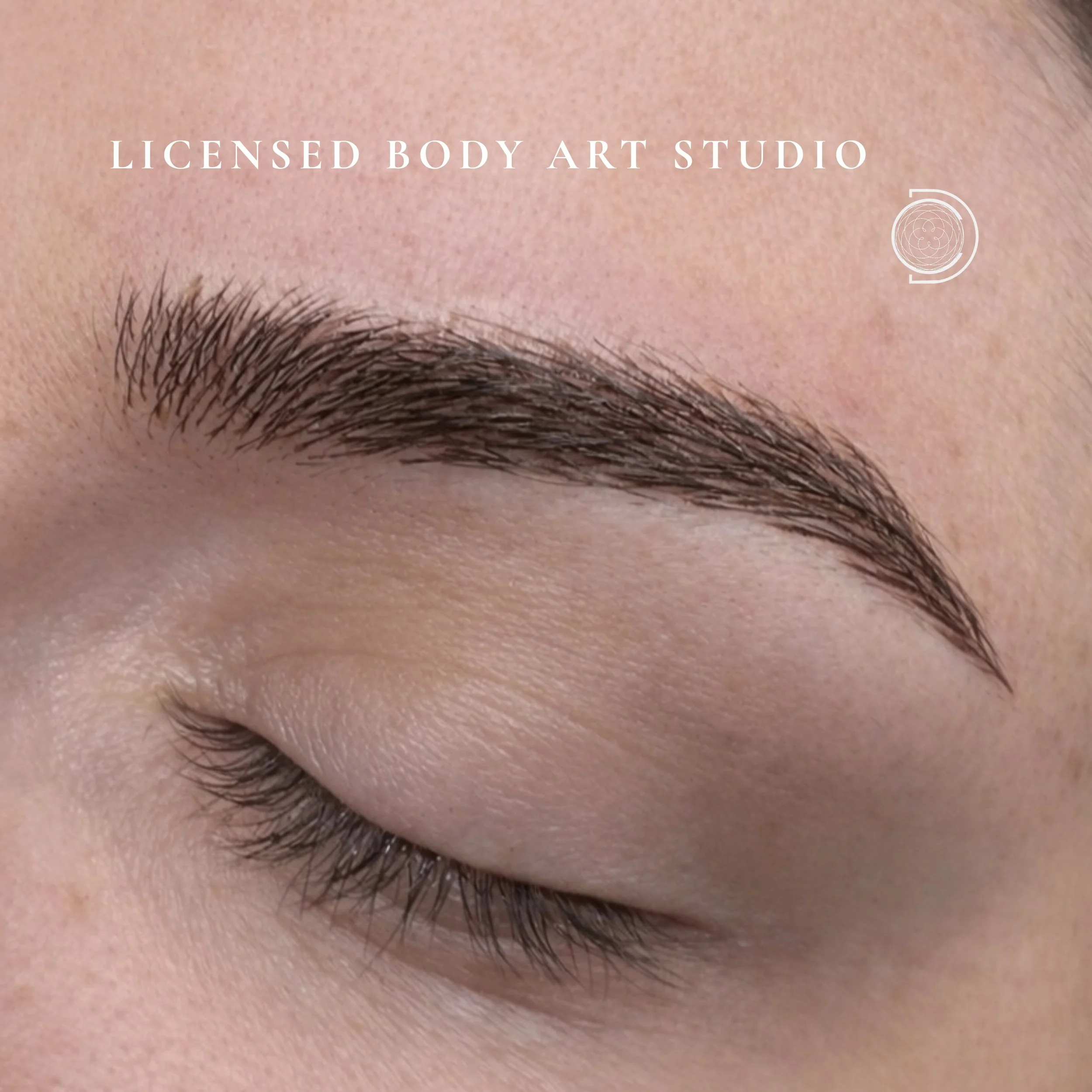 DCPC David Chum detail brunette pmu brow.png