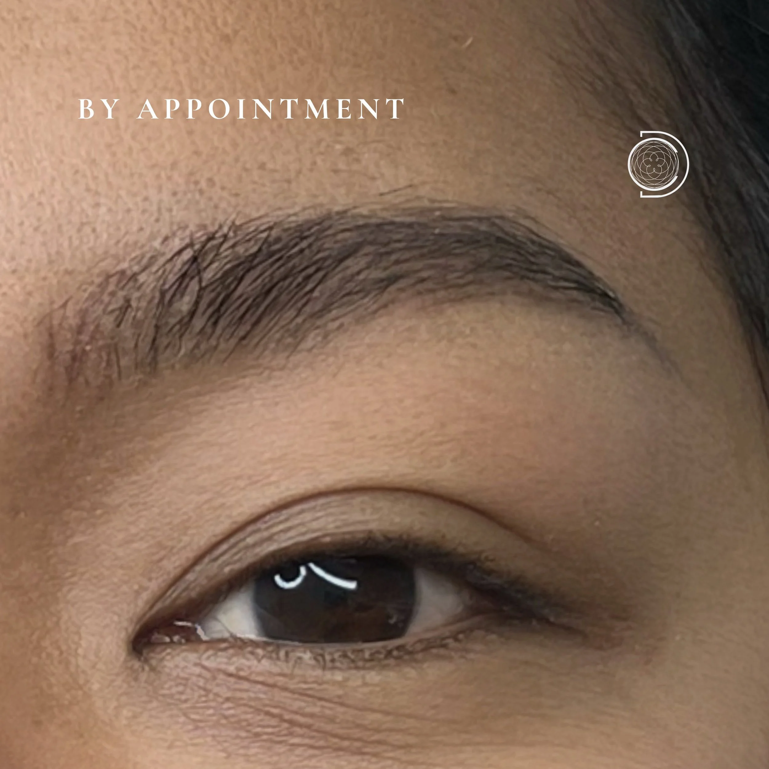 dcpc close-up asian nano brows