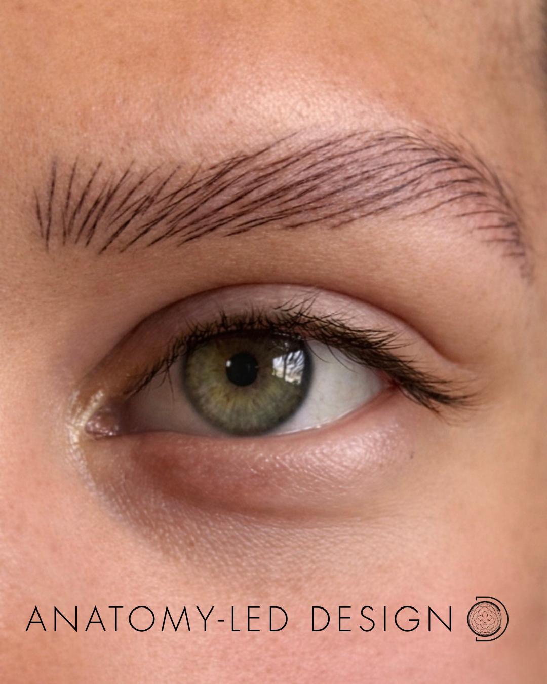 David Chum DCPC close-up alopecia brow nano brow tattoo