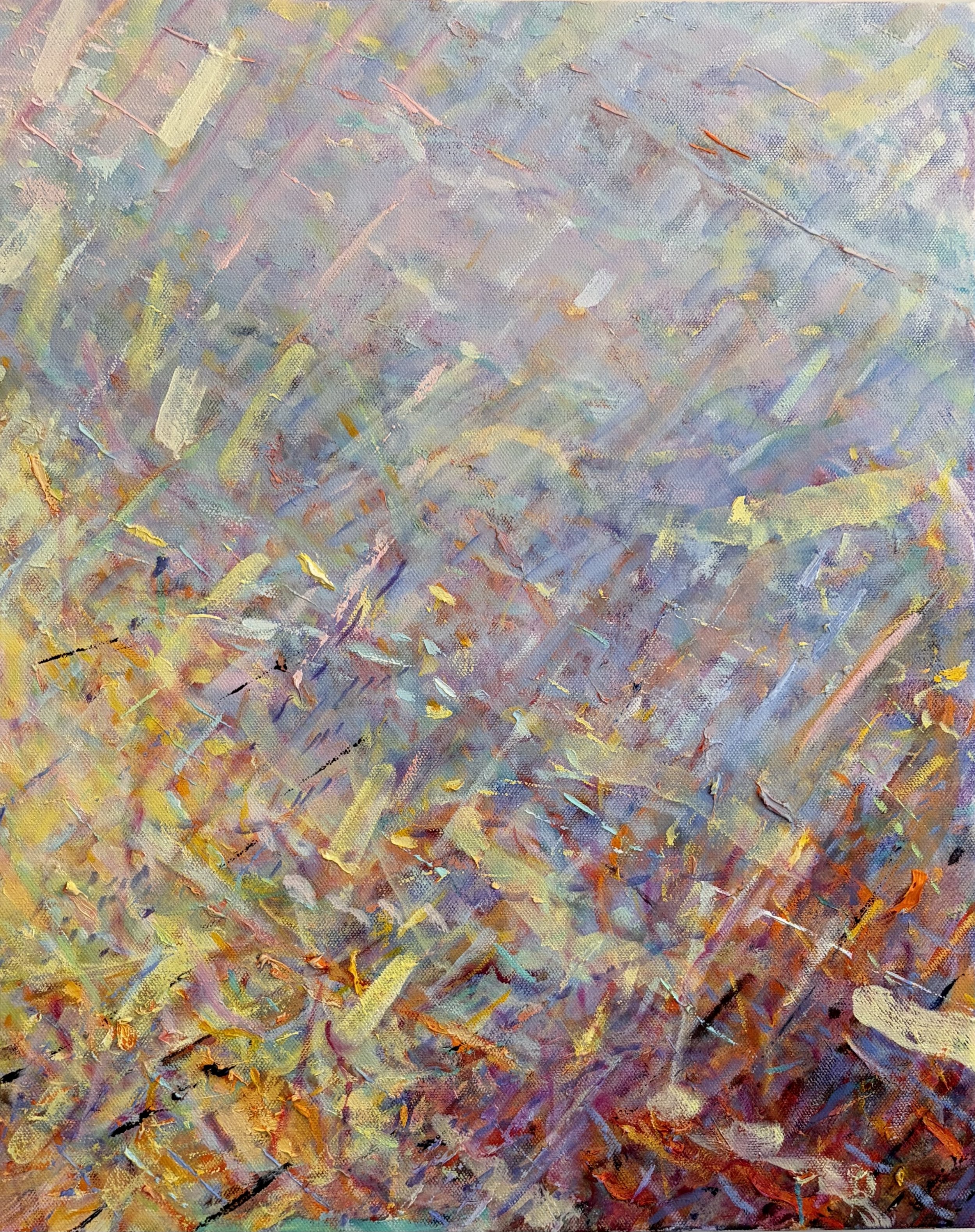 "Light Enters" 16x20" oil on canvas 2026 