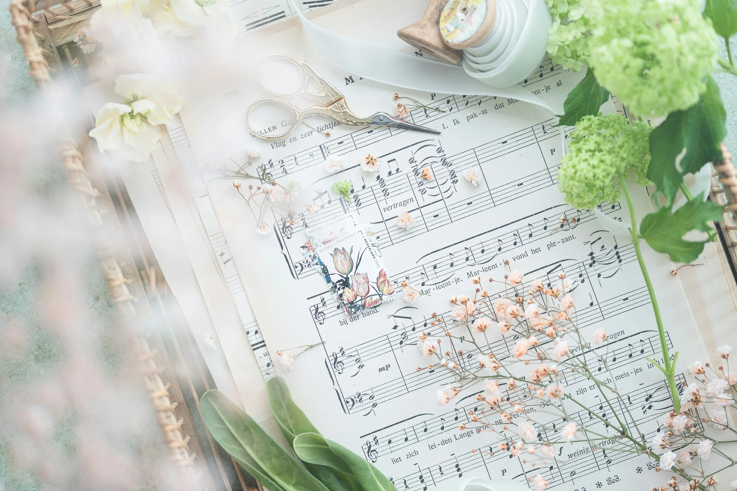 Fresh Start, Fresh Sound: Spring Cleaning Your Playing