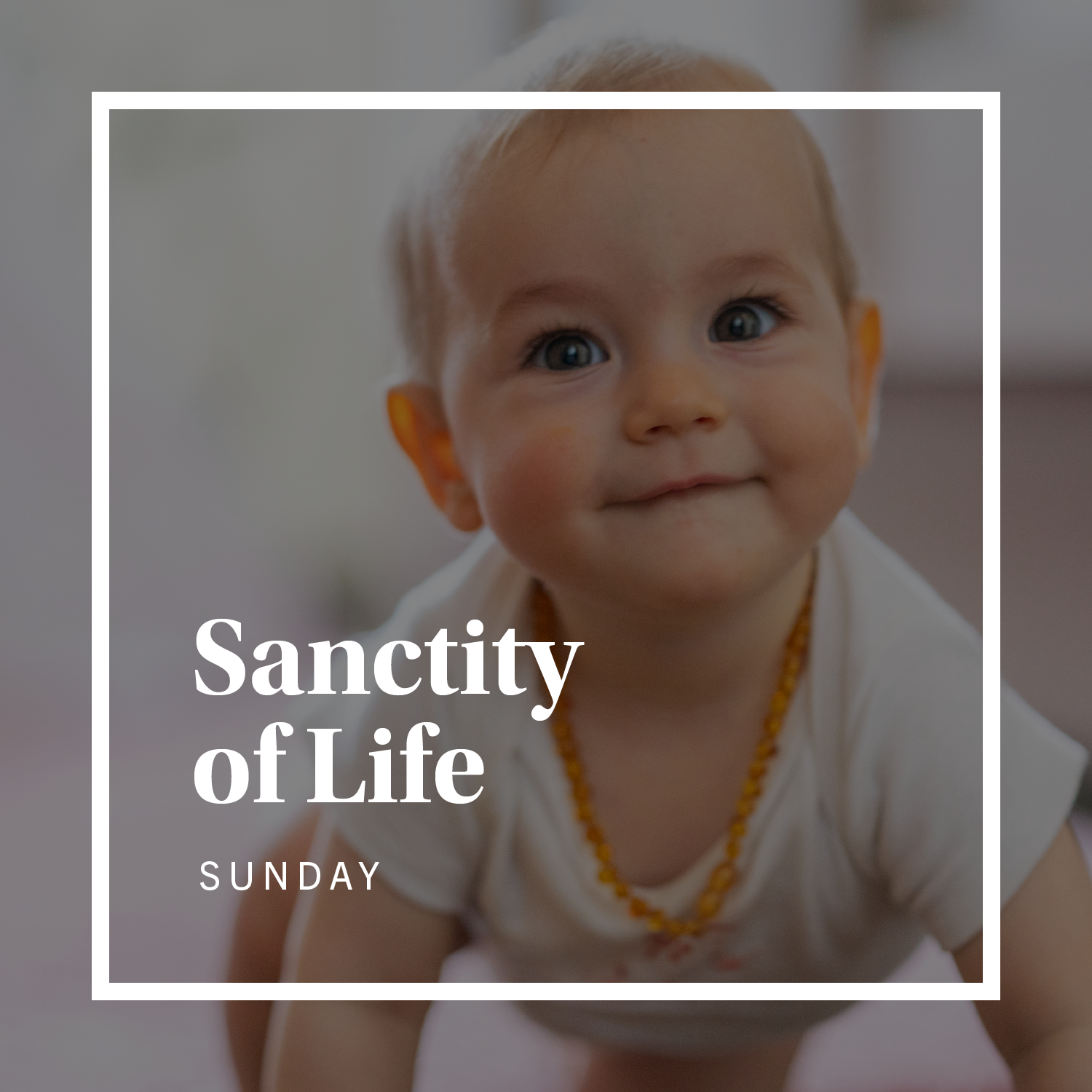 Sanctity of Life Sunday