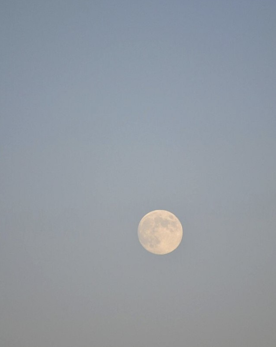 Screen Shot 2021-10-27 at 3.02.50 PM.png