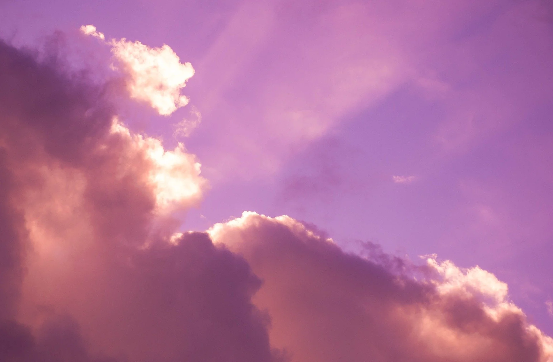 This Side and That Side by Katie Brown