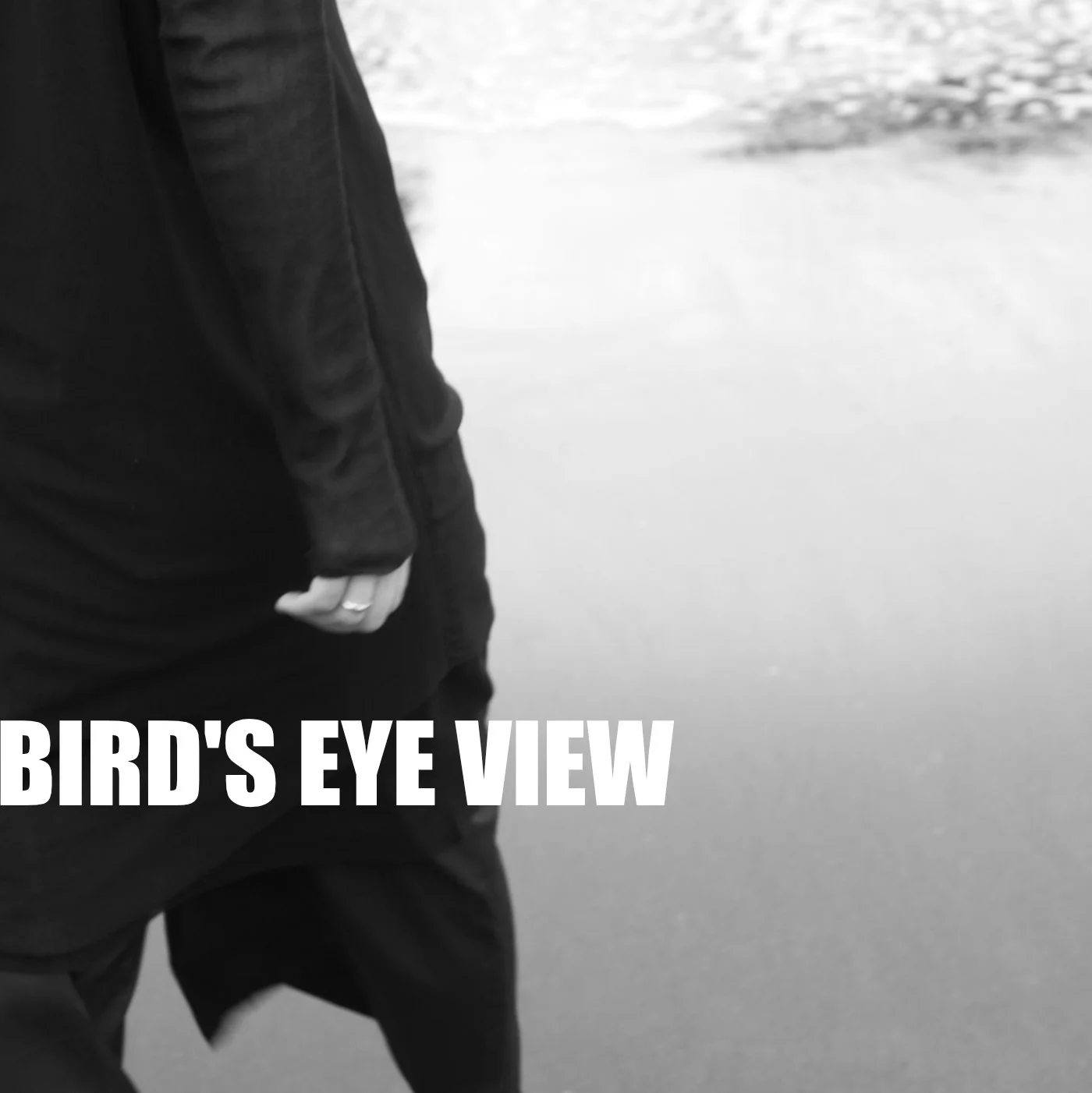 ‘Bird's Eye View’ Single Released