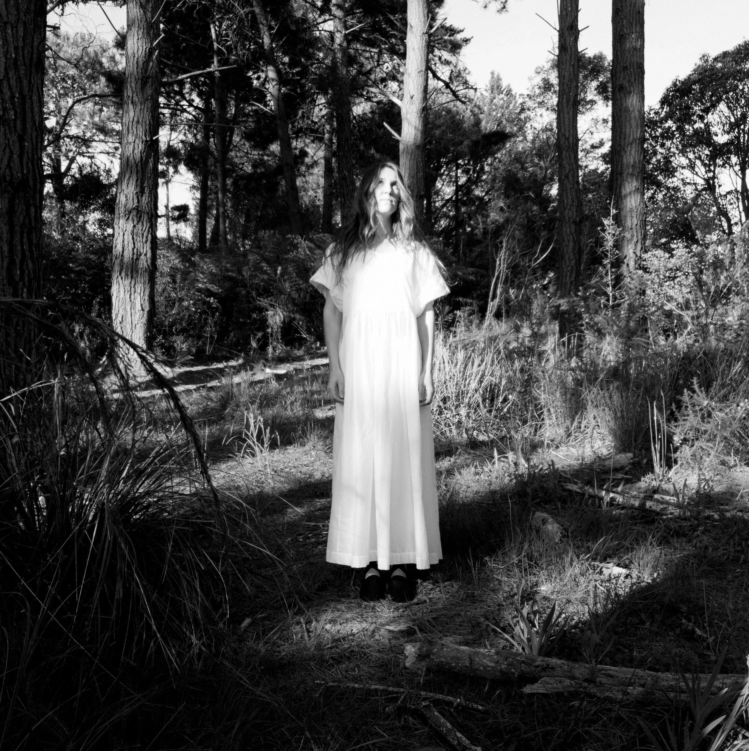 Bedtime Story: Lodestar Audiobook