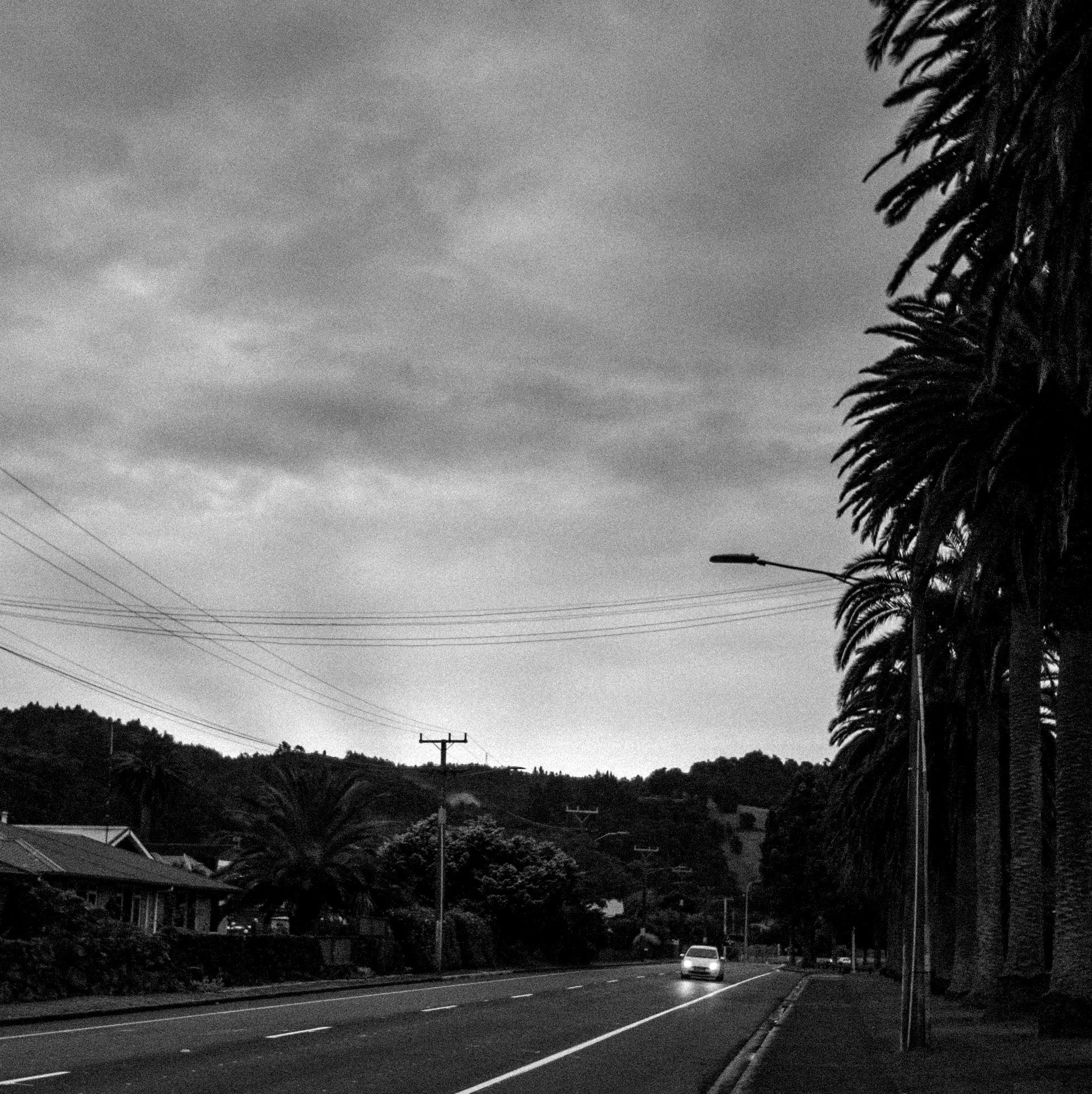 RNZ: Dianne Swann discusses The May Project with Jesse Mulligan