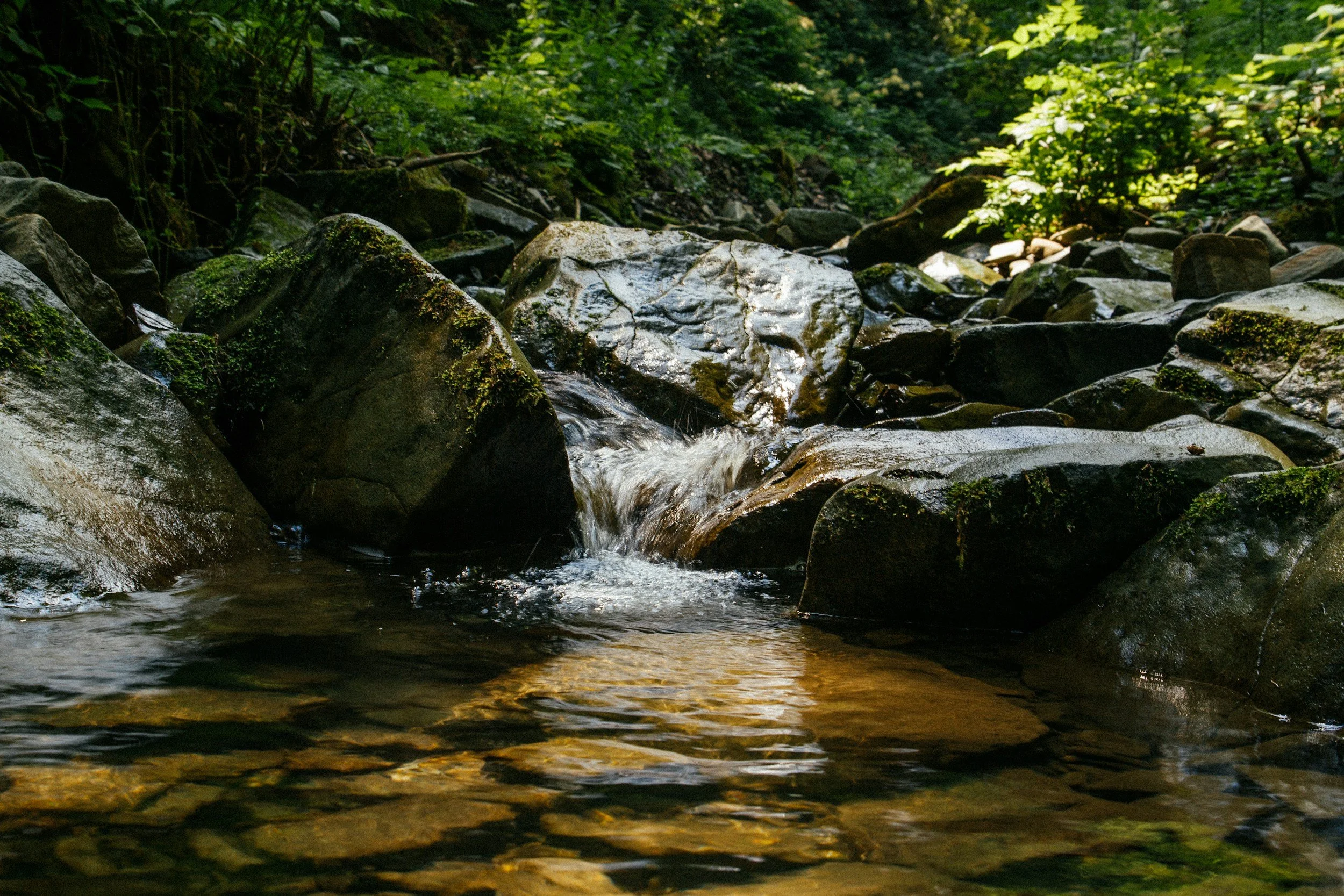 Grounding Techniques to Anchor You in the Moment