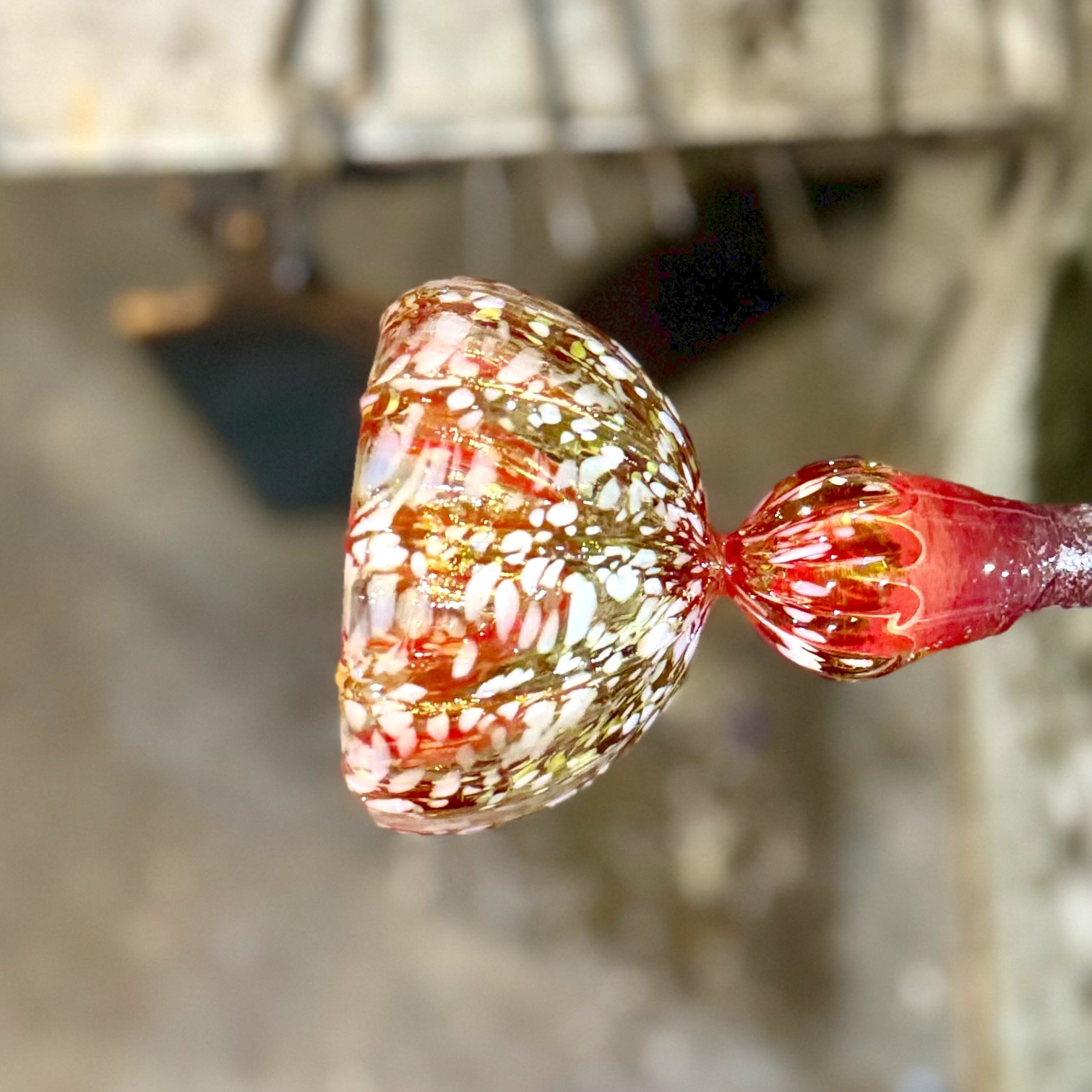 jelly fish workshop 6.jpg