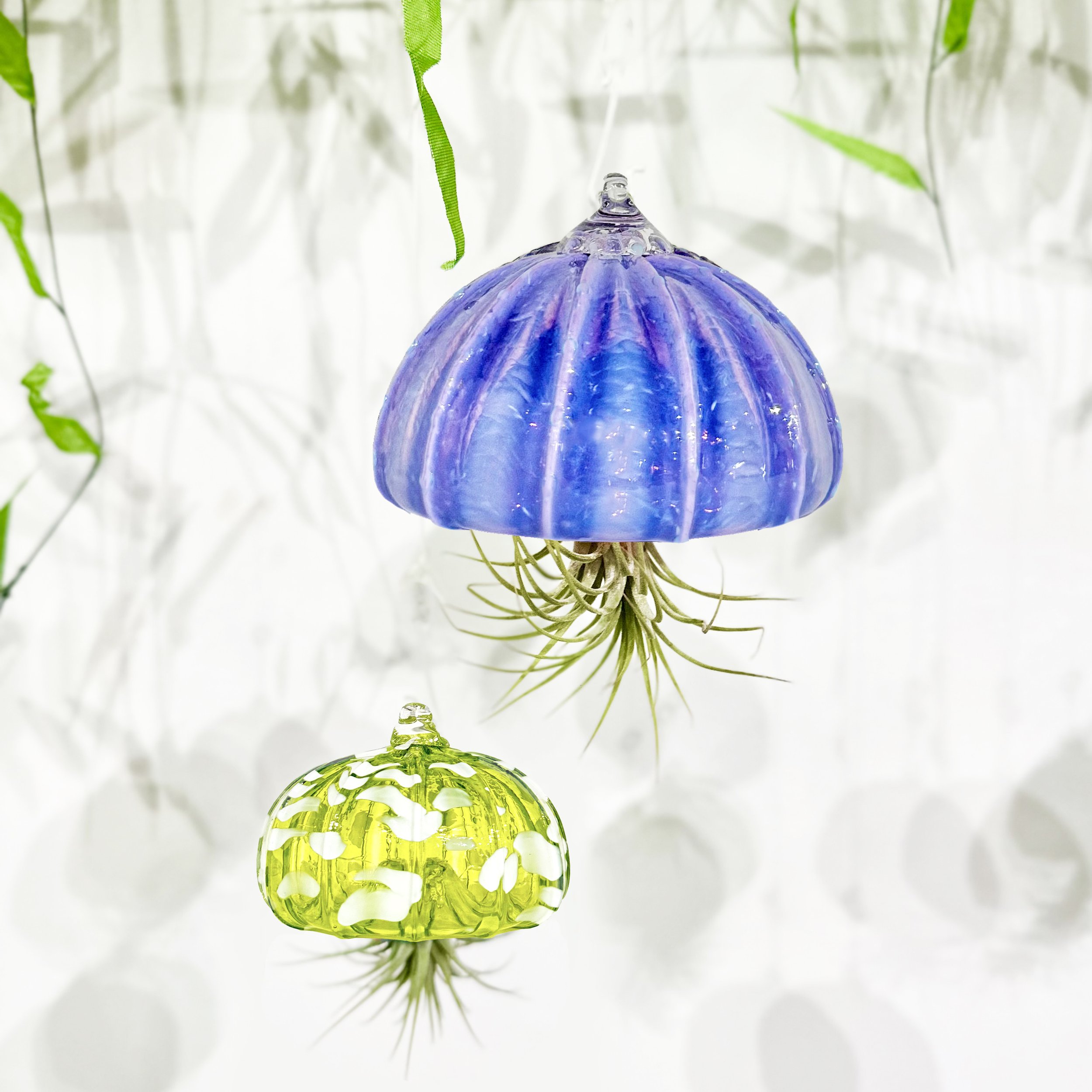 jelly fish workshop 1.jpg